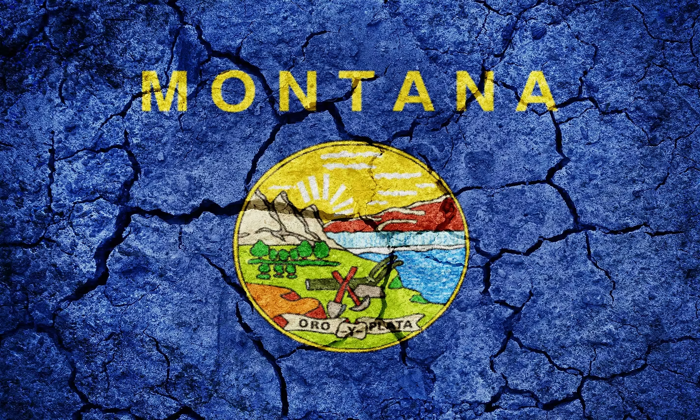 Montana 2025: A Broad Scope of Chaos and Carnage