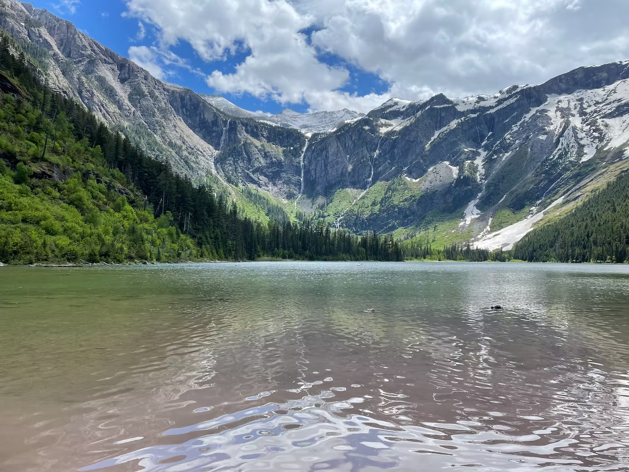 National Parks Under Attack