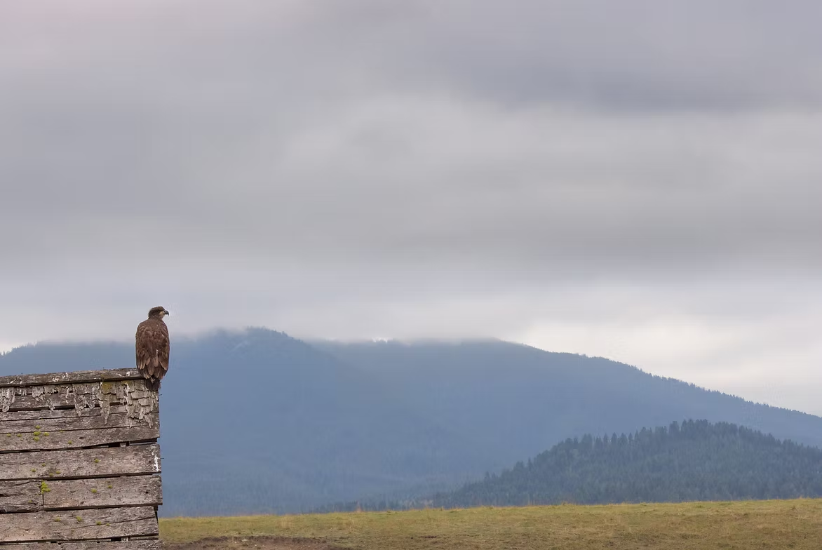 Notes from Montana: Community Conversations