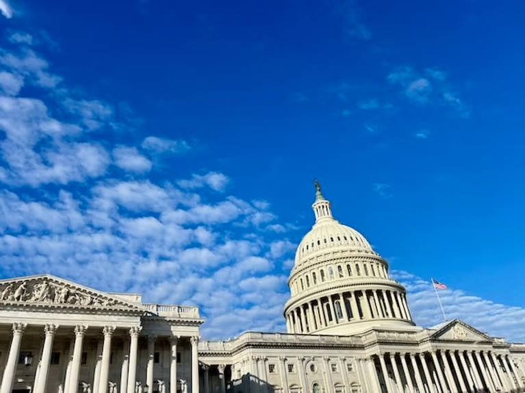 America's Survival Depends on a Robust Democracy