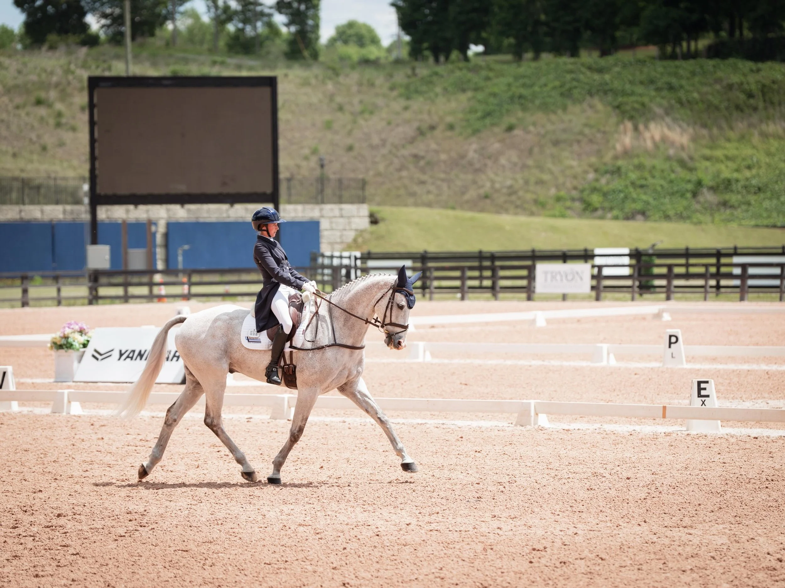 Jewelent doing a lovely test today to sit 6th heading into xc tomorrow. Very excited to get out there! 

Thank you @emma.tuit for having Juju looking amazing 

📸 @impulsionmedia_