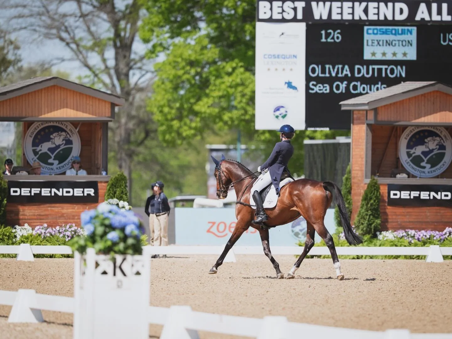 Great test for Socsy today! He is feeling his best self and was super happy to be out. 

Can&rsquo;t thank @emma.tuit enough for having Socsy looking 100% and taking such good care of him🤍