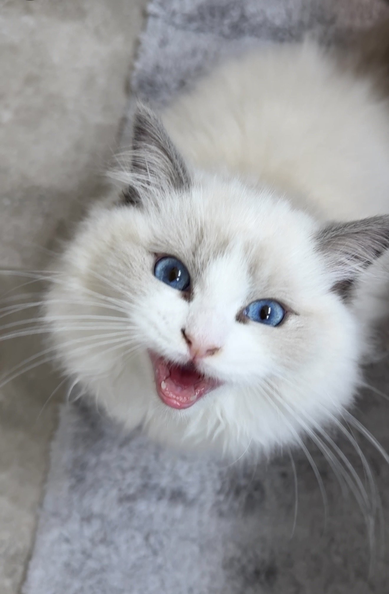 Related Video Item Thumbnail