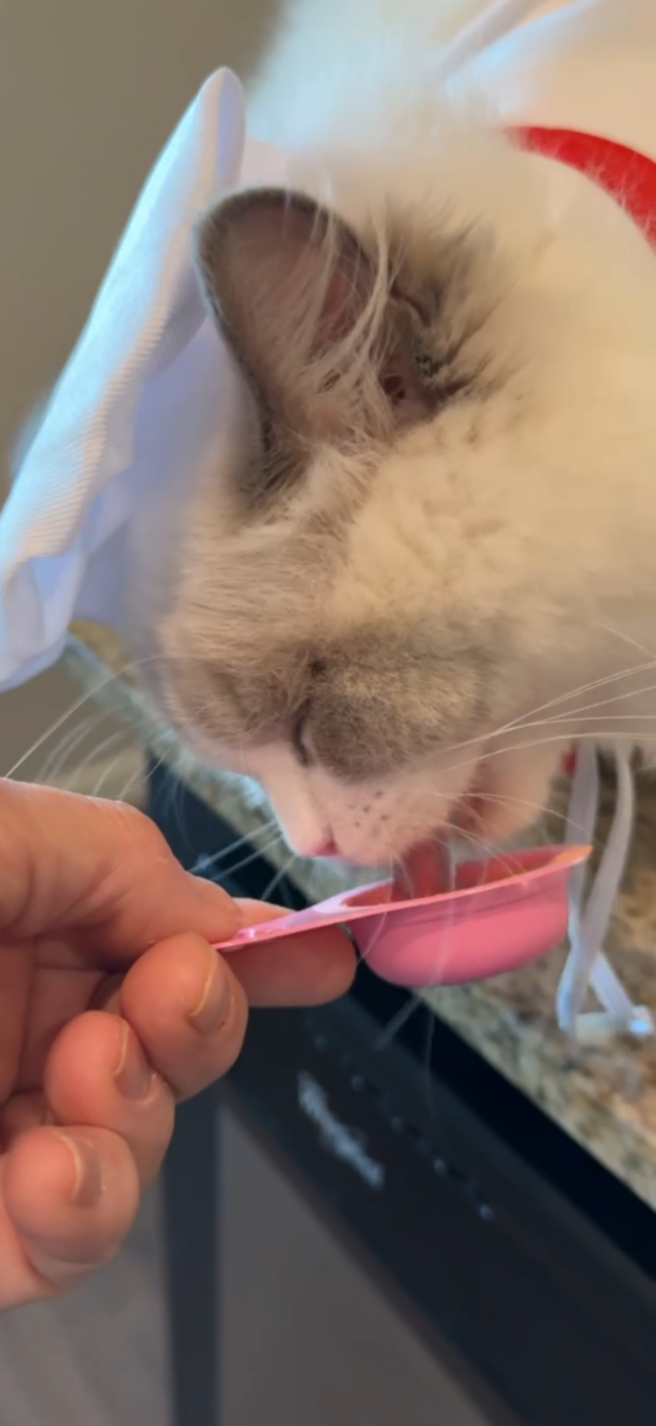 Related Video Item Thumbnail