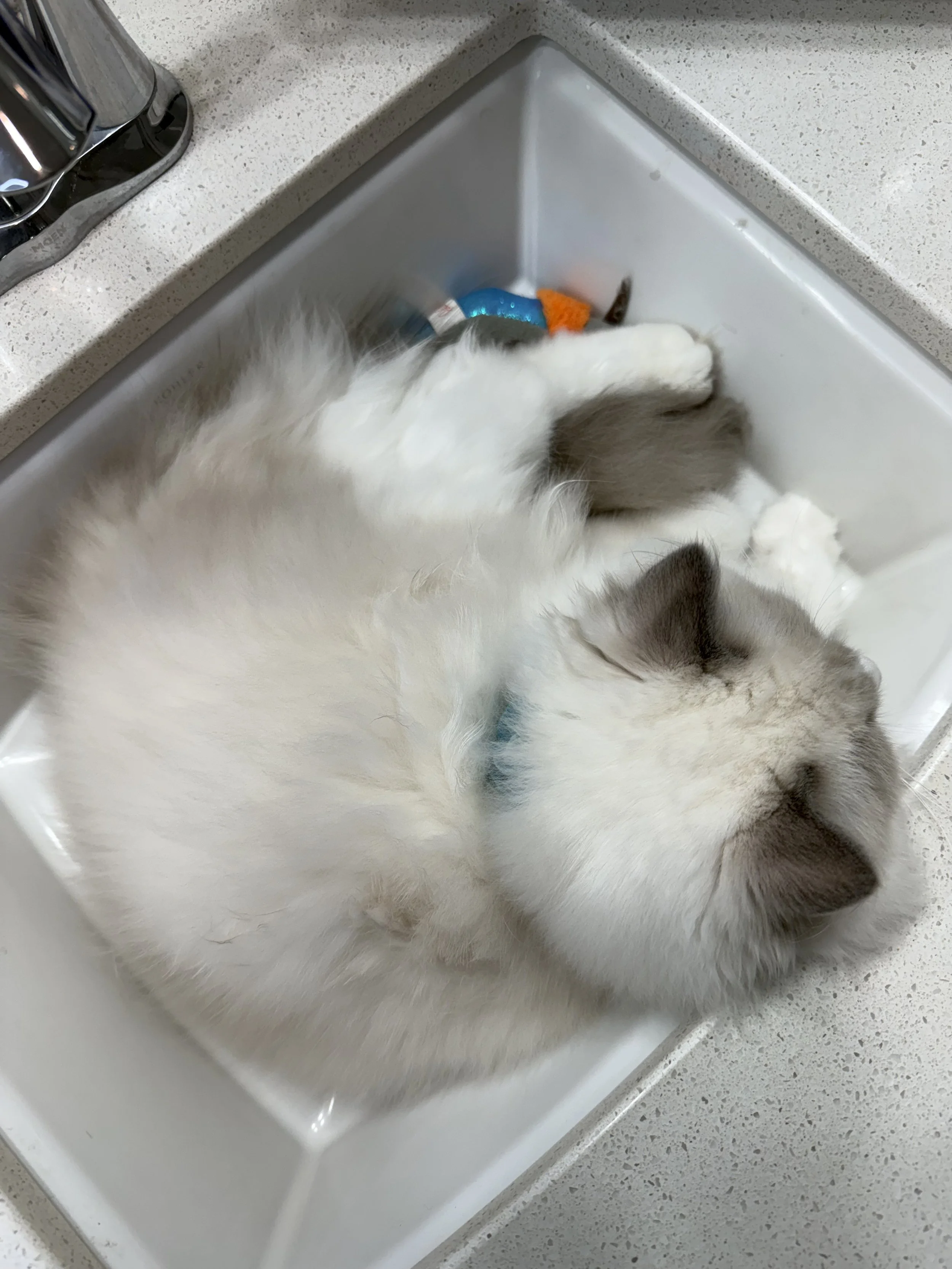 Related Video Item Thumbnail