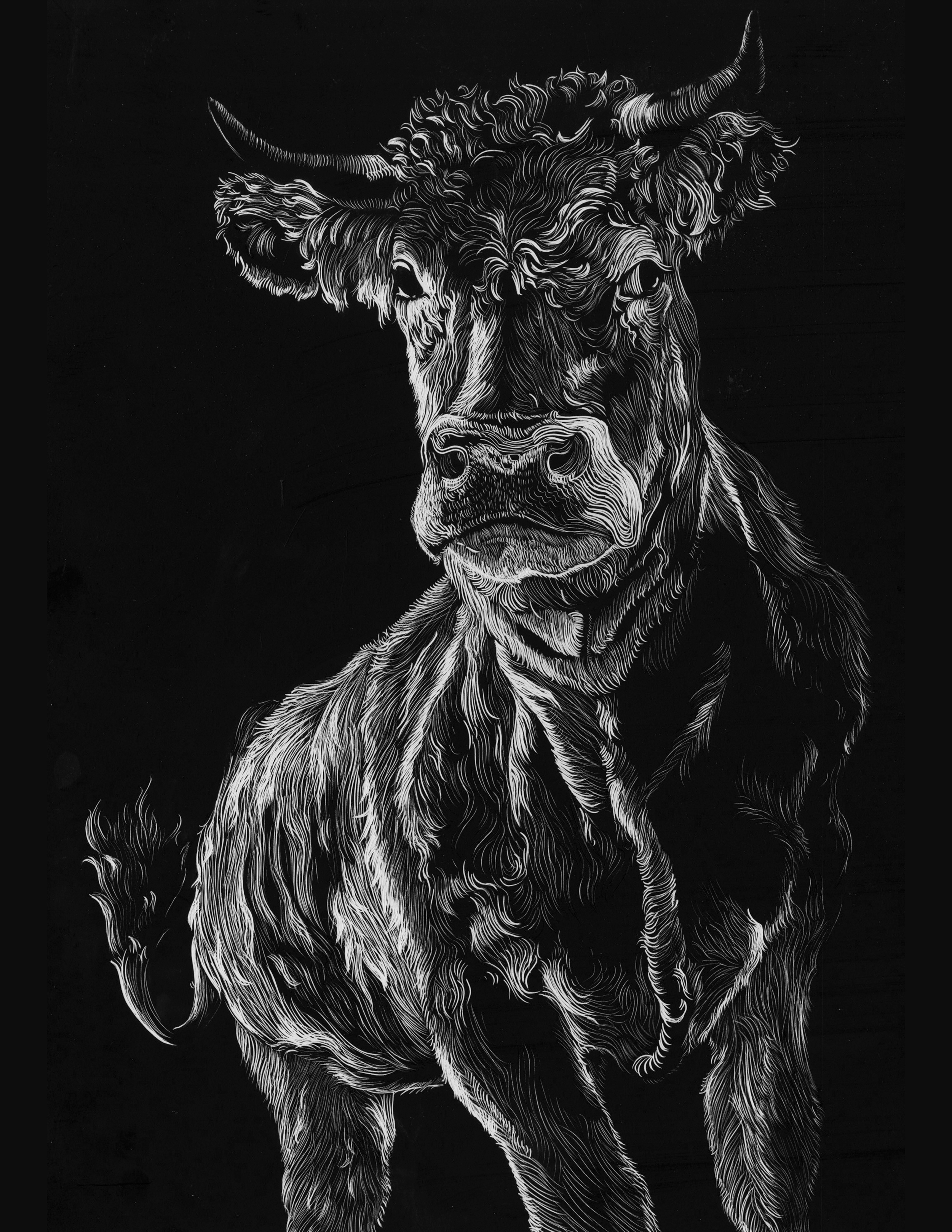 cowprint.png