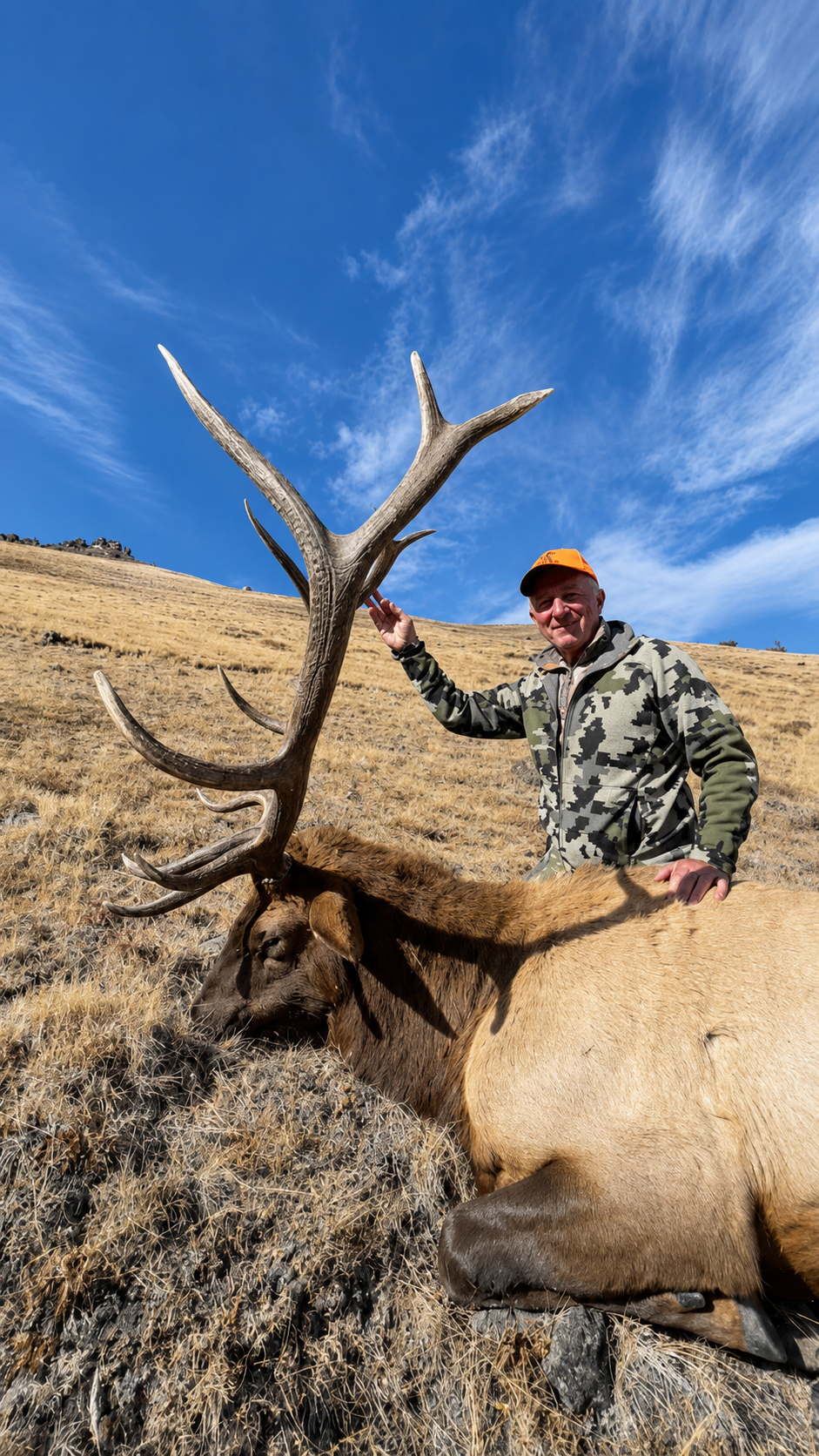 Guided Elk Hunt vs DIY Elk Hunting for Beginners