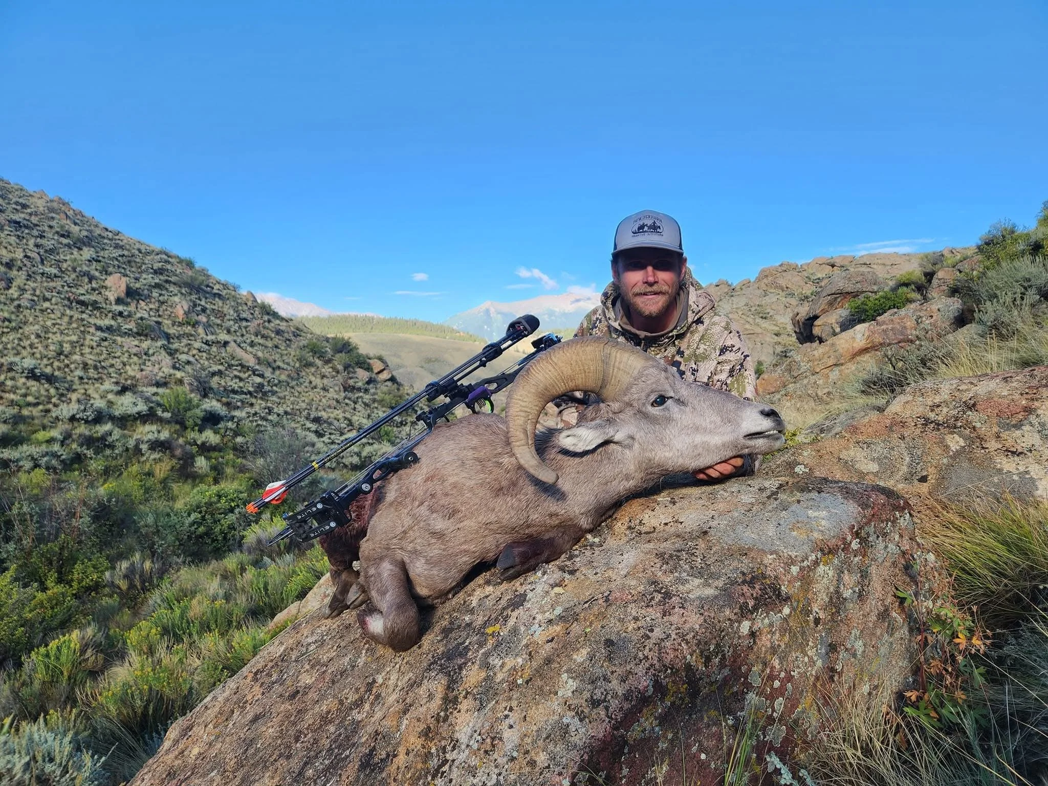 A man in camouflage clothing and a hat kneels behind a large bighorn sheep with curled horns lying on a rocky slope in a mountainous landscape with green foliage, mountains, and a clear blue sky in the background.