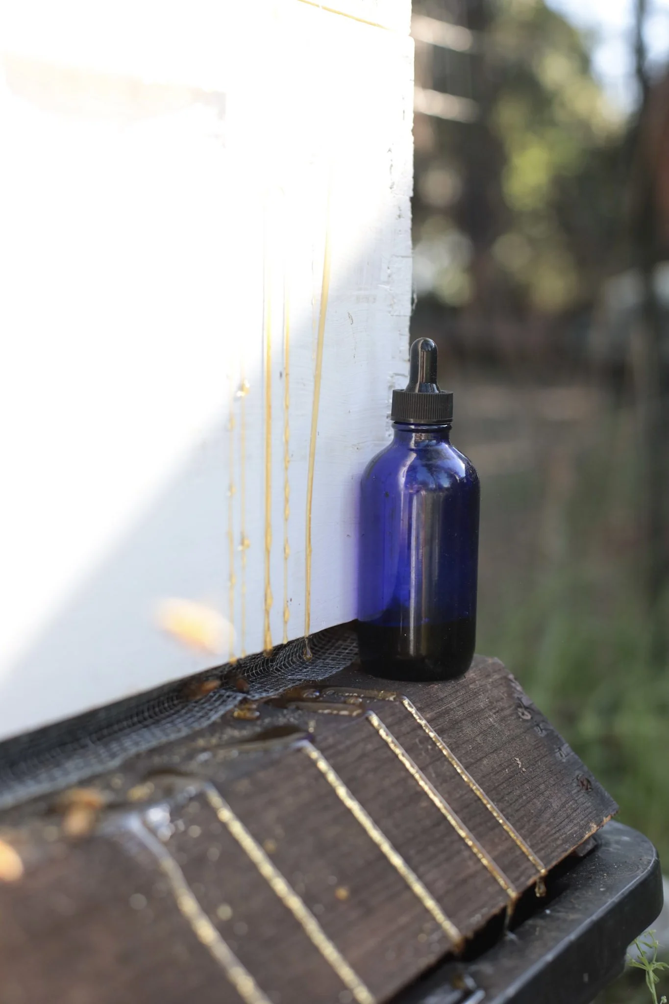 Propolis Tincture - 4oz