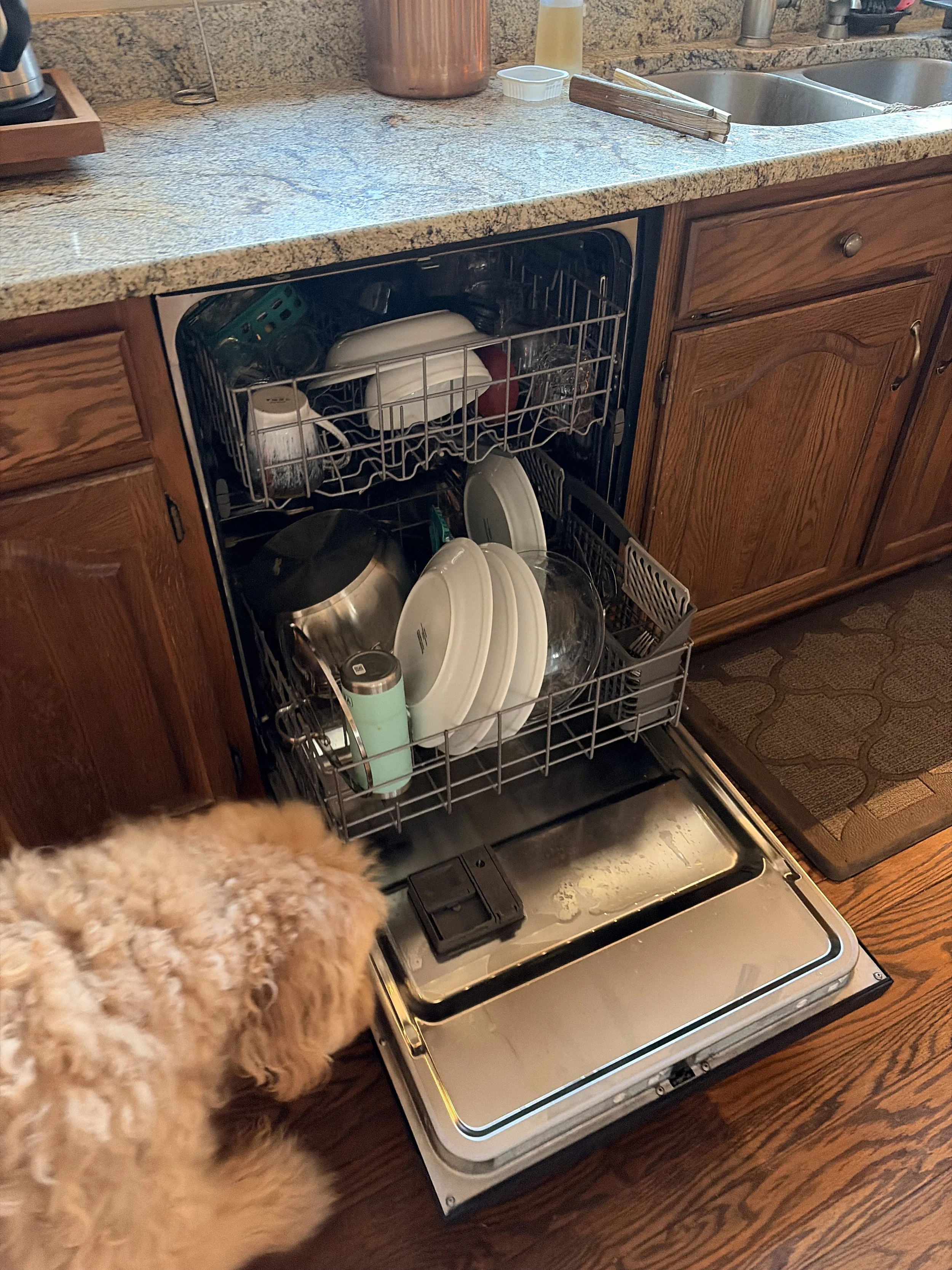Leaking dishwasher repair Alexandria, VA
