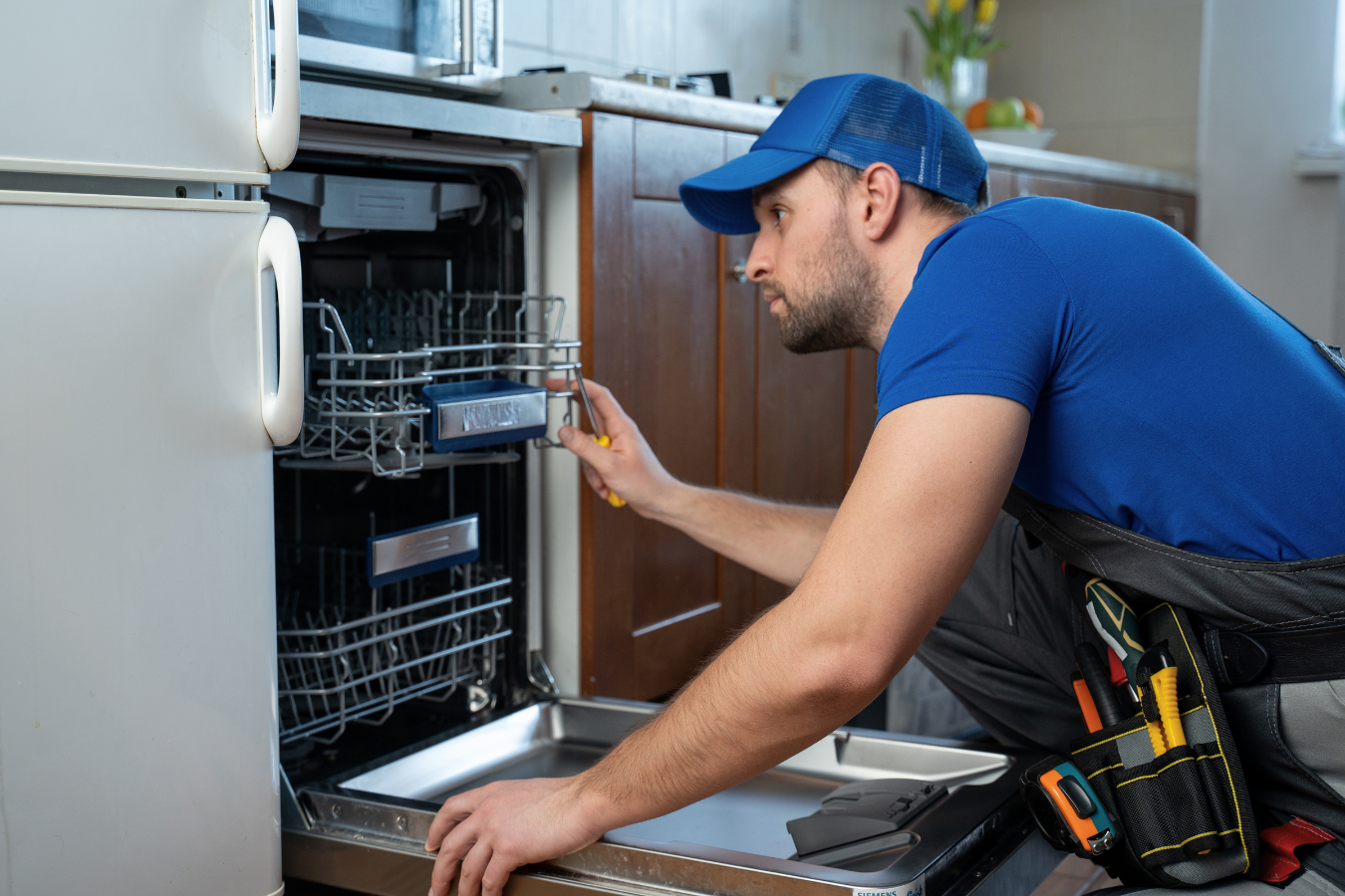 Dishwasher not cleaning dishes repair Alexandria, VA