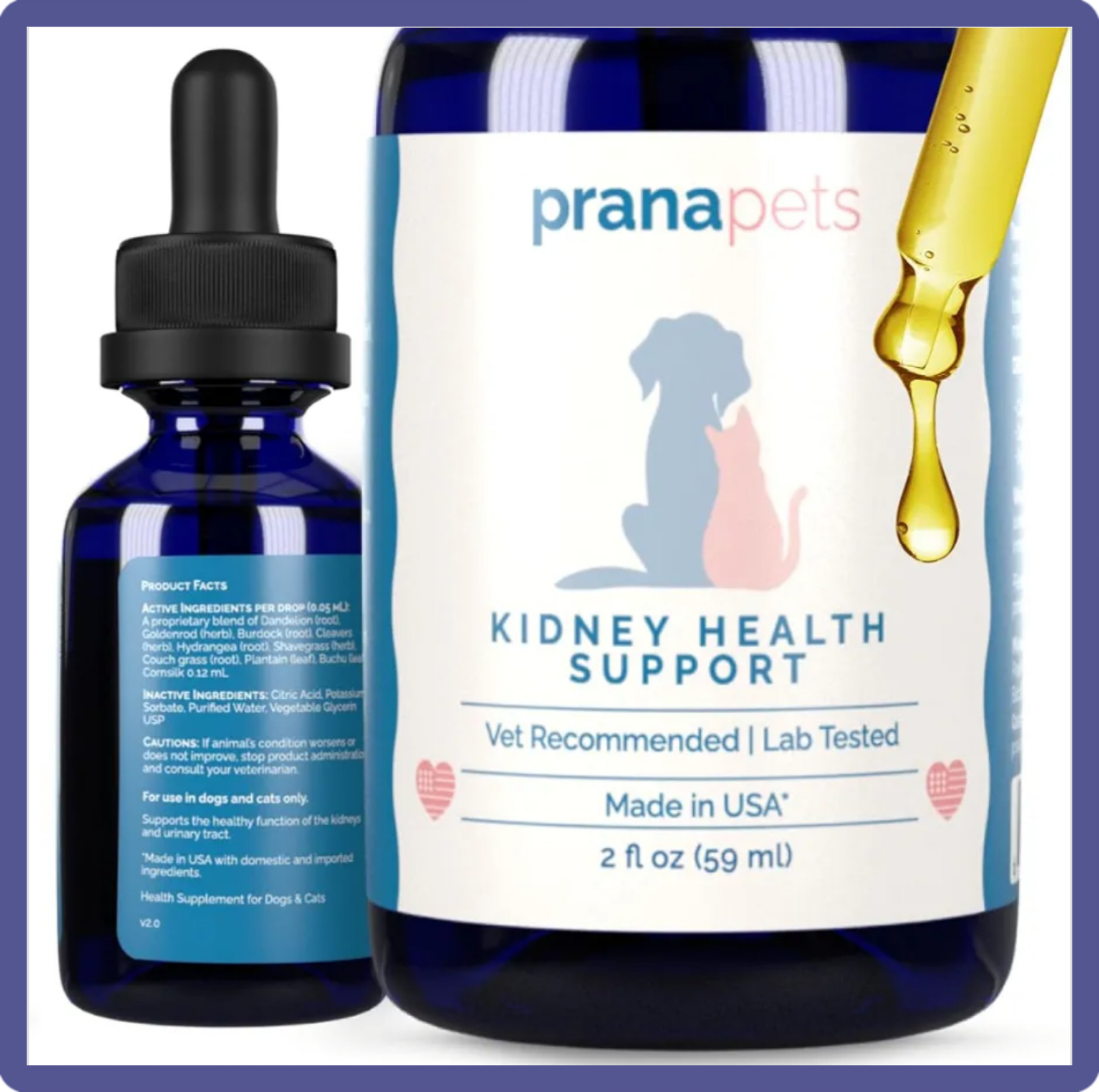 Holistic Kidney Support That Actually Works