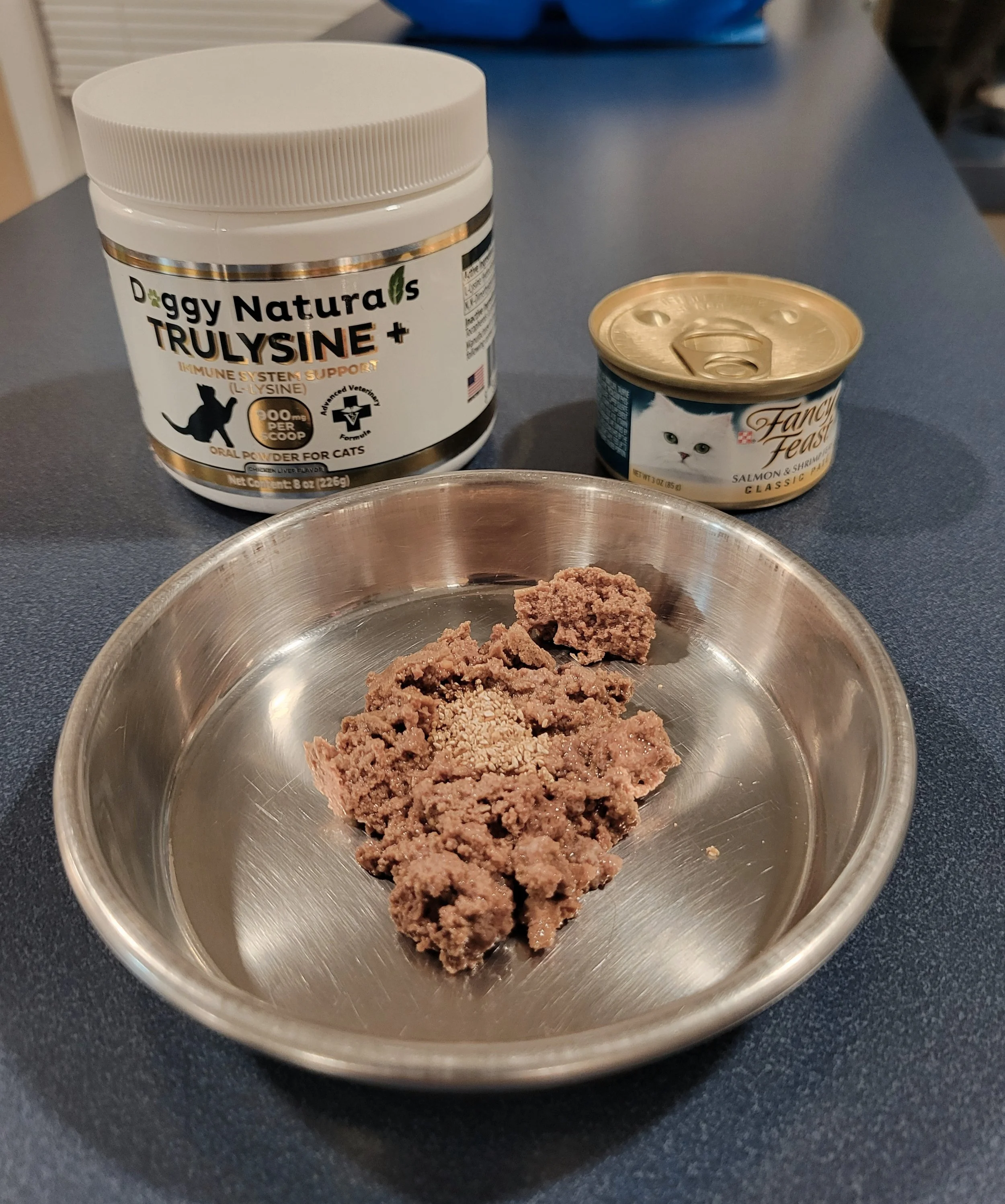 Holistic Cat Care on a Budget: How to Upgrade Grocery Store Cat Food