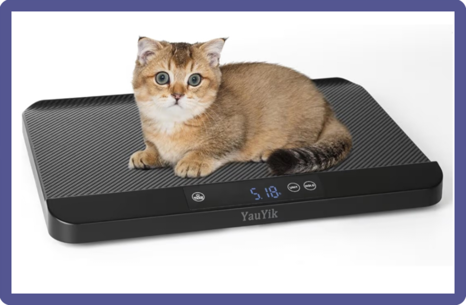 Why Every Pet Owner Needs the YauYik Digital Pet Scale