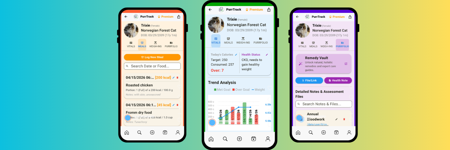 Founder’s Journal: Behind the App – Why I Built PurrTrack