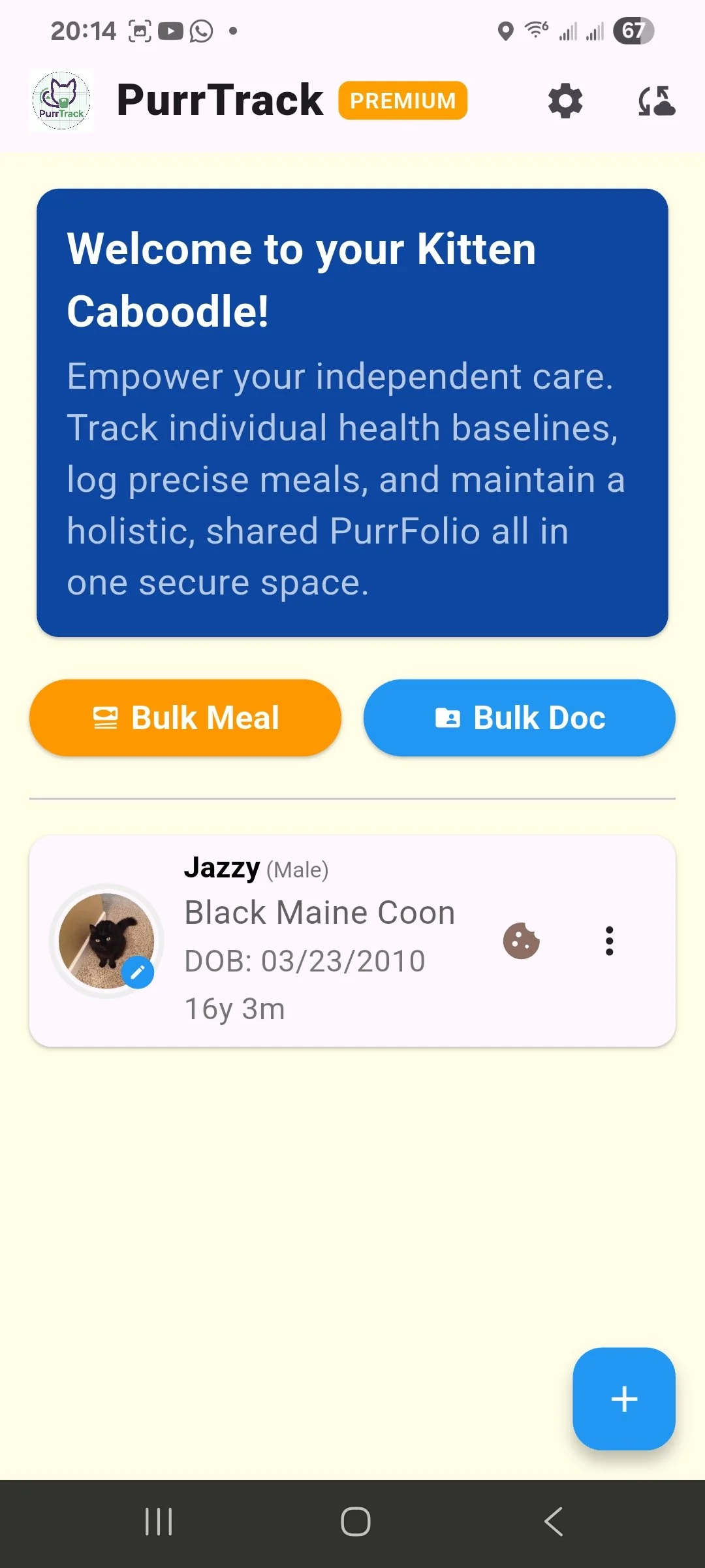 Home dashboard on the PurrTrack cat health tracking app showing the cat list card.
