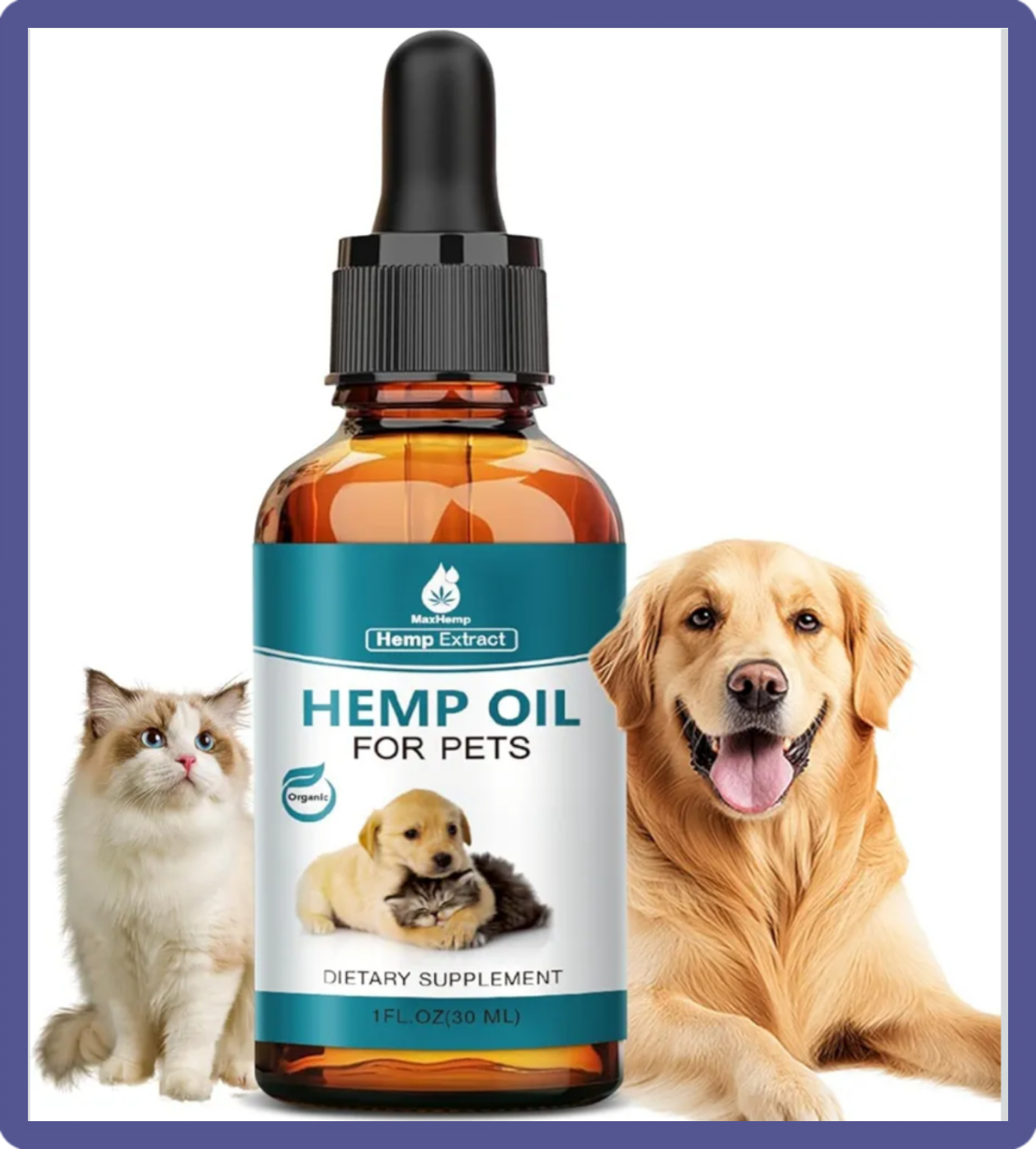 A bottle of third-party tested PCR hemp extract, utilized as a holistic remedy for natural feline anxiety, joint pain, and systemic inflammation relief.