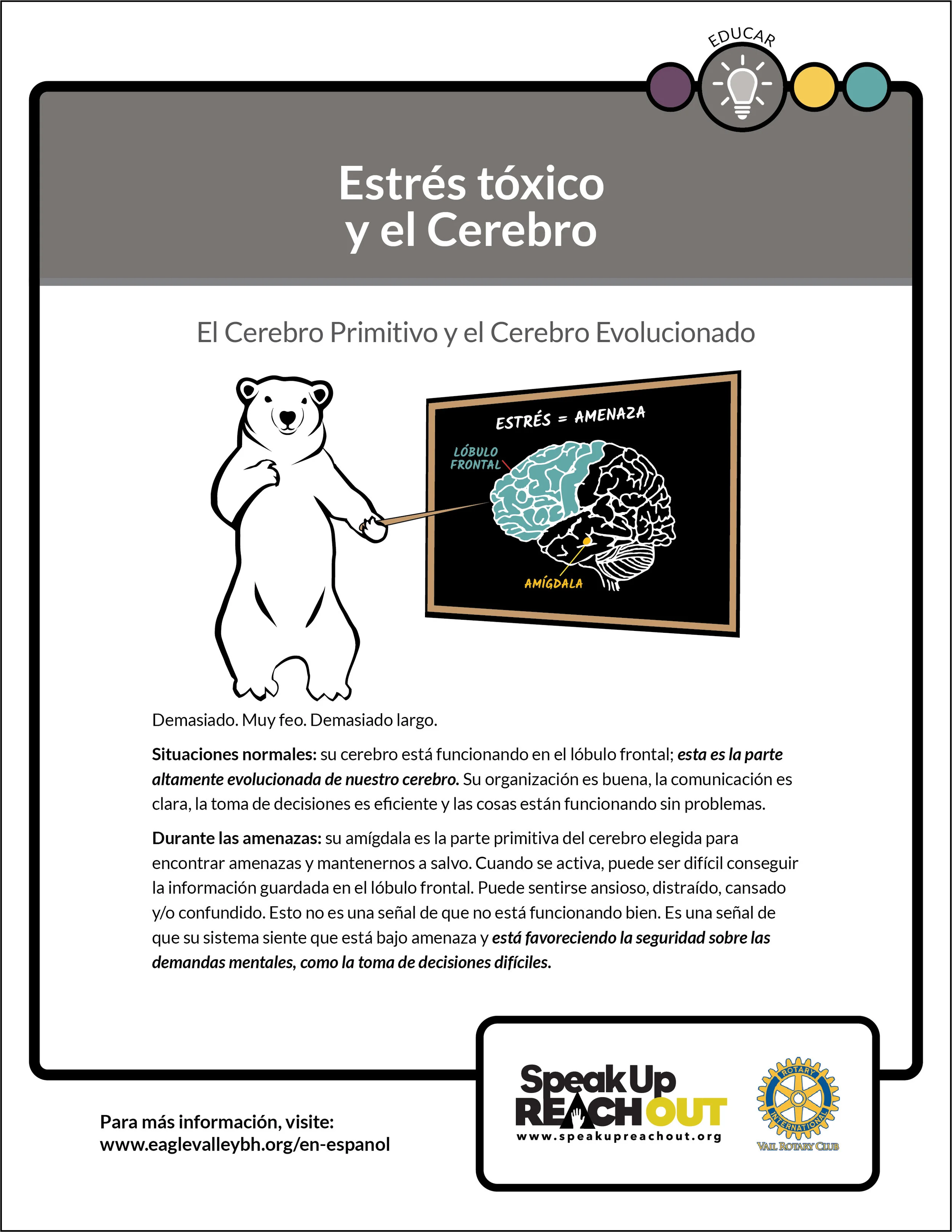 EagleCounty_CopingCards_Educate-Toxic Stress and the Brain-3-Spanish.jpg