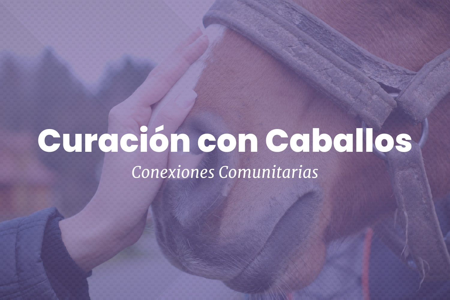 Terapia con caballos