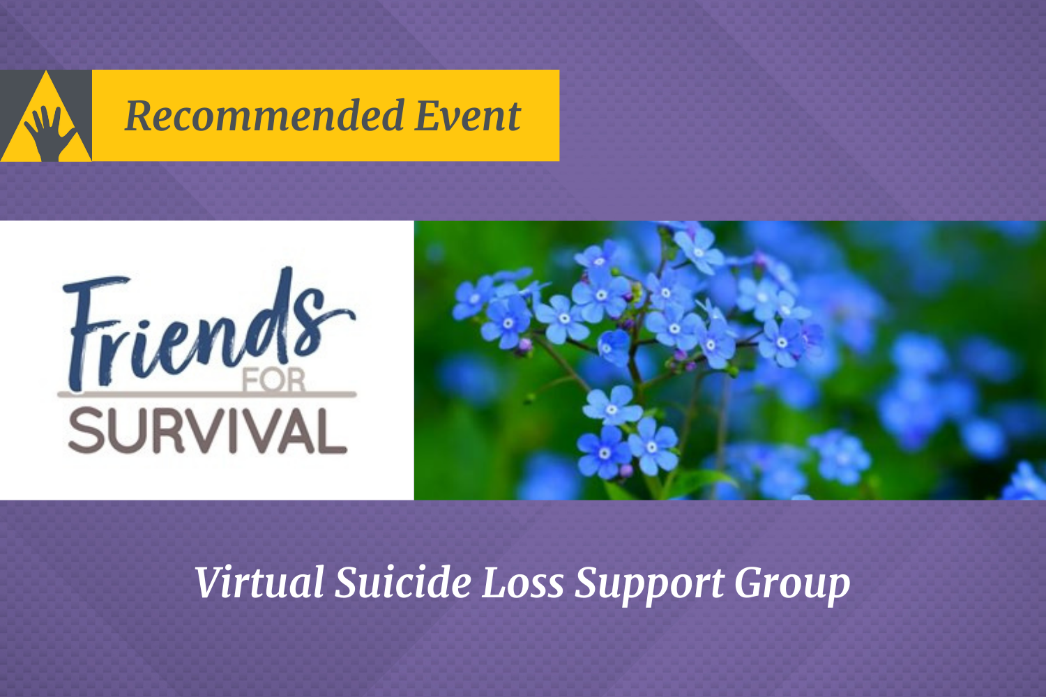 Grupo virtual de apoyo para personas que han perdido a un ser querido por suicidio