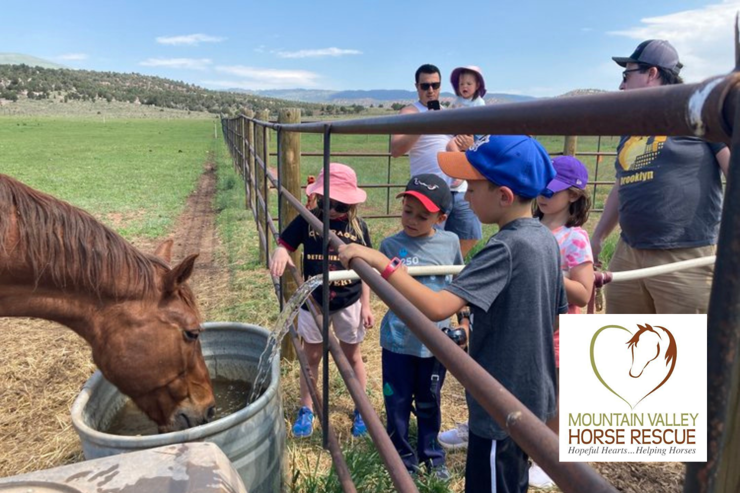 Día de voluntariado comunitario de Mountain Valley Horse Rescue