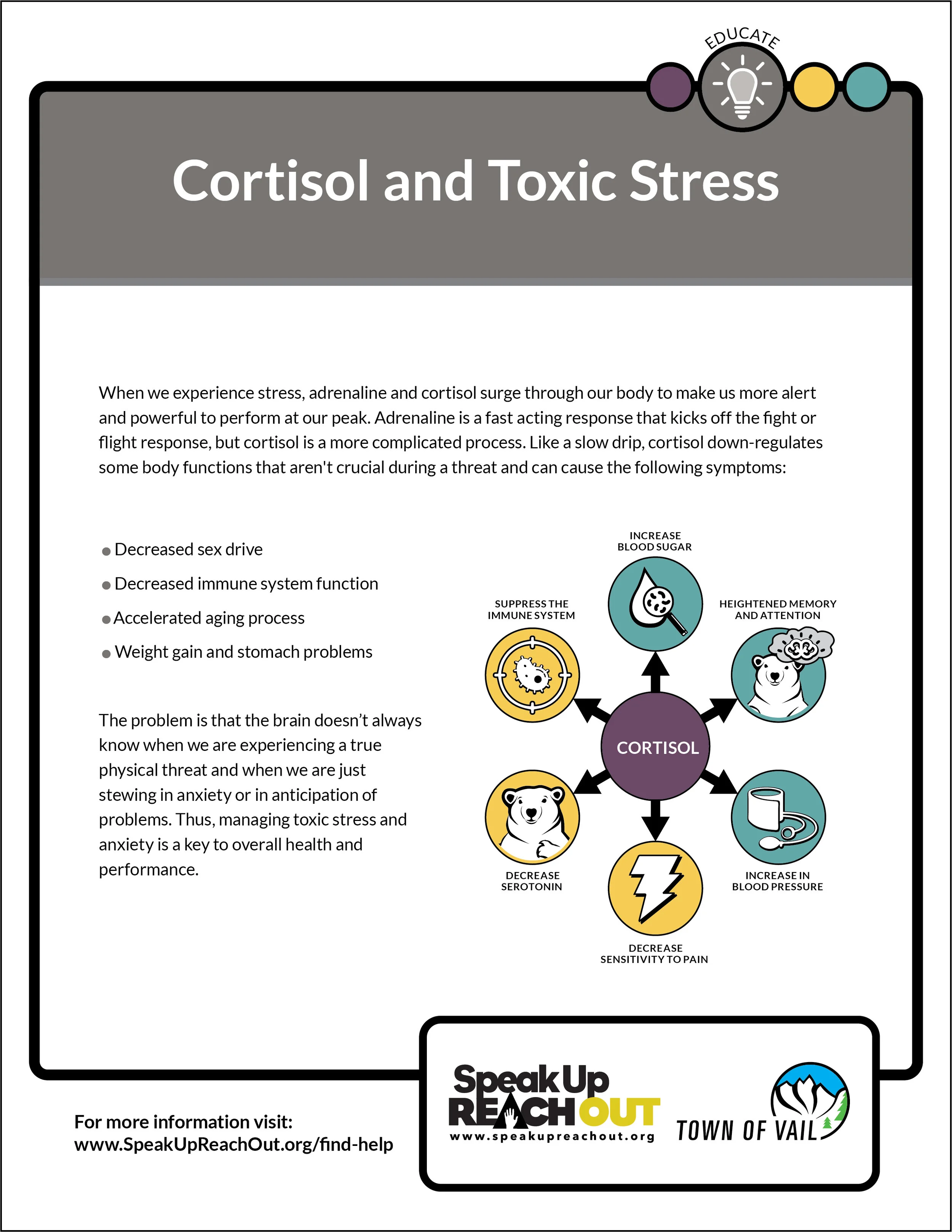 19 EagleCounty_CopingCards_Educate_Cortisol y estrés tóxico.jpg