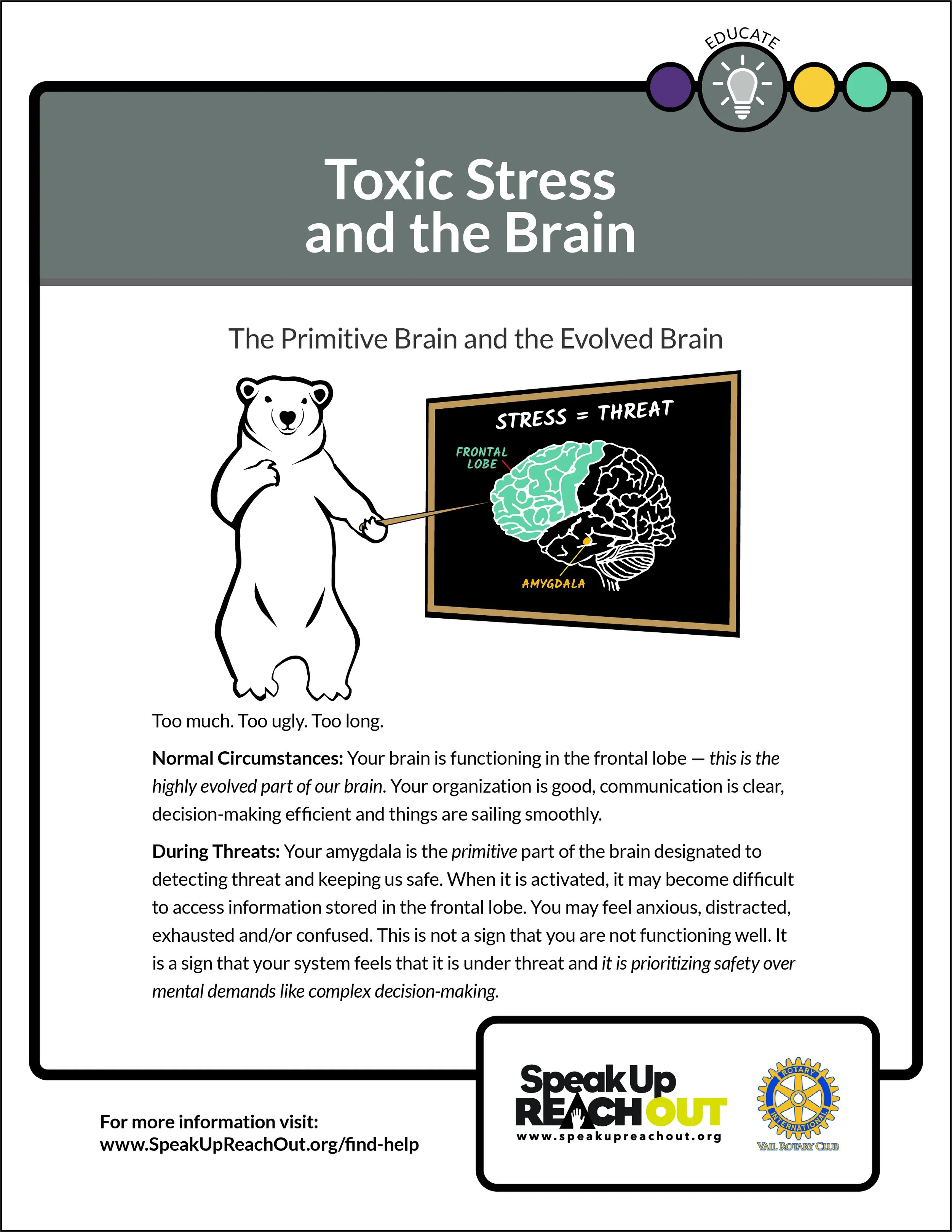 EagleCounty_CopingCards_Educate-El estrés tóxico y el cerebro-3.jpg