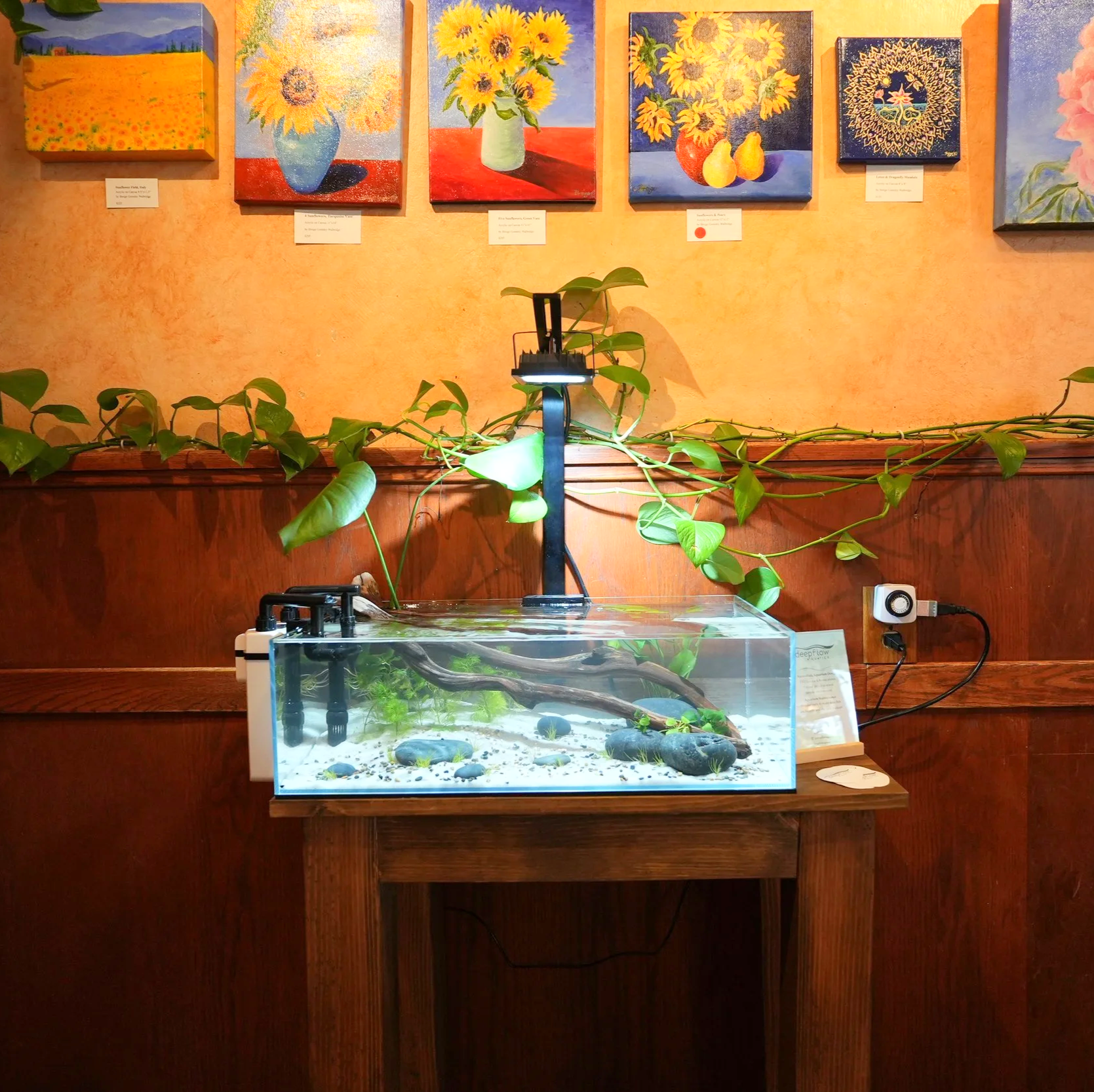 Dharma's fish tank