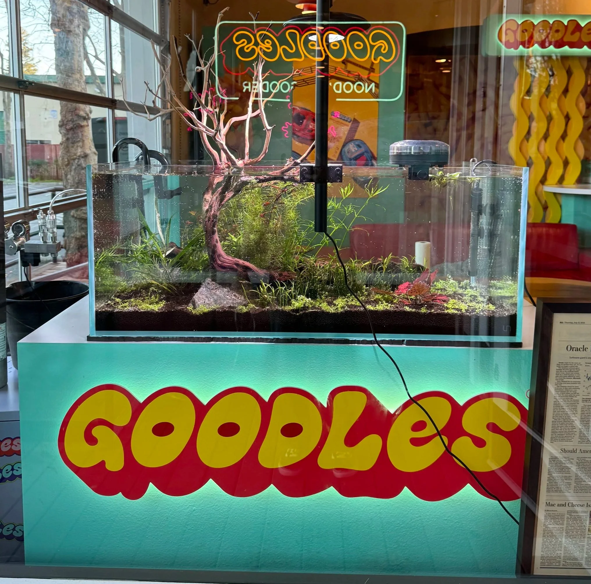 goodles 2.jpg
