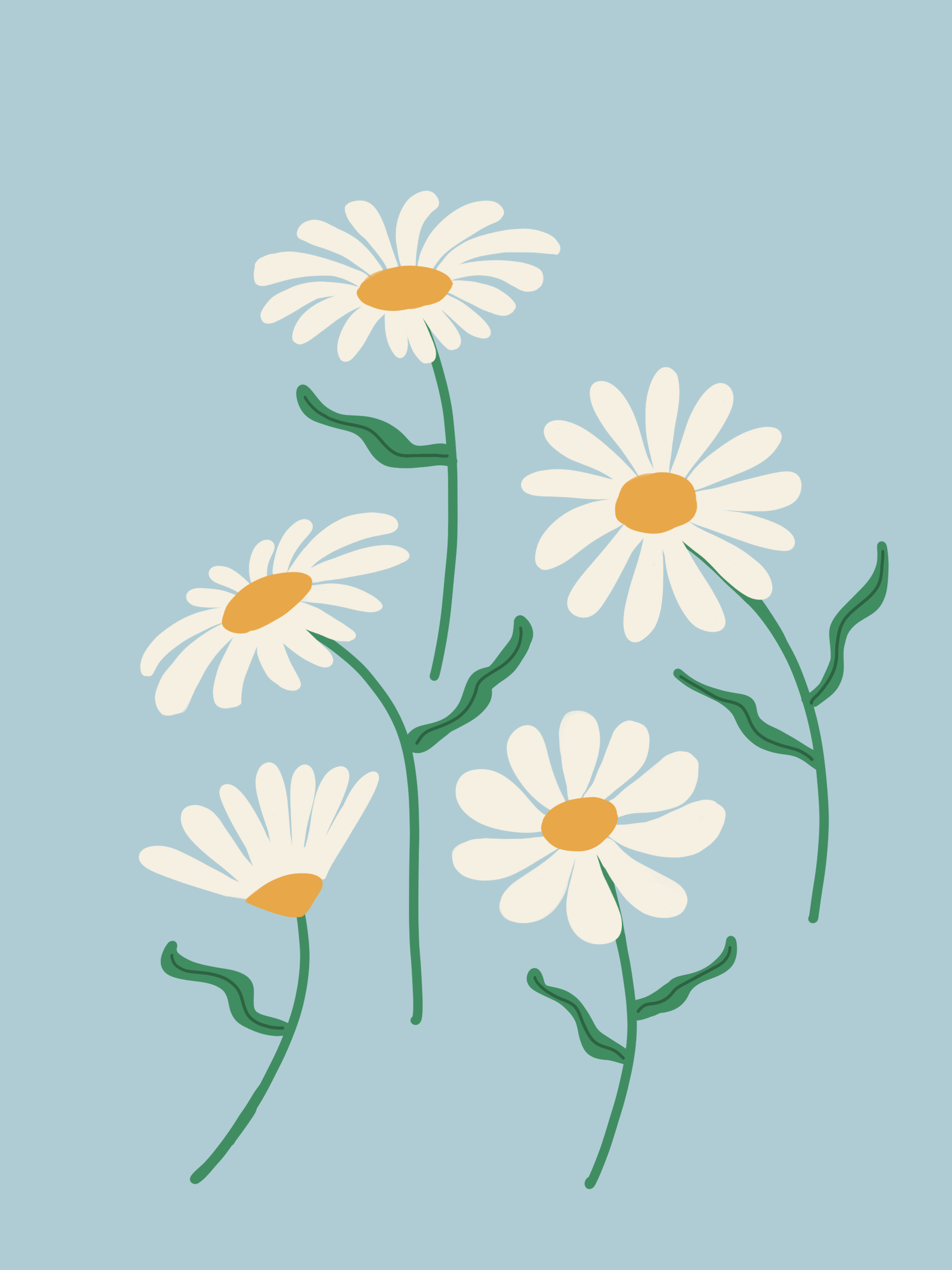 Daisy Illustration.png