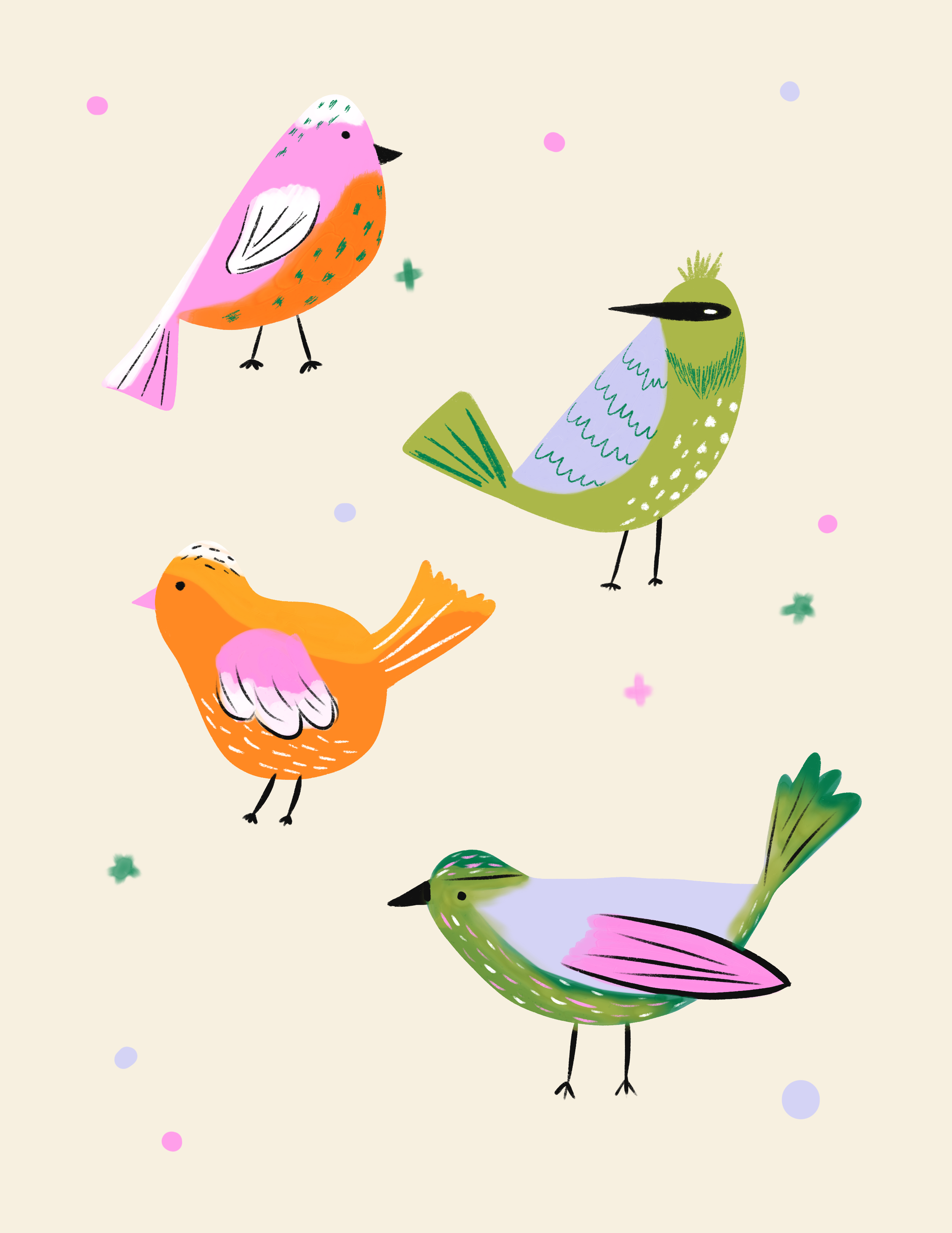 Birds Illustration.png