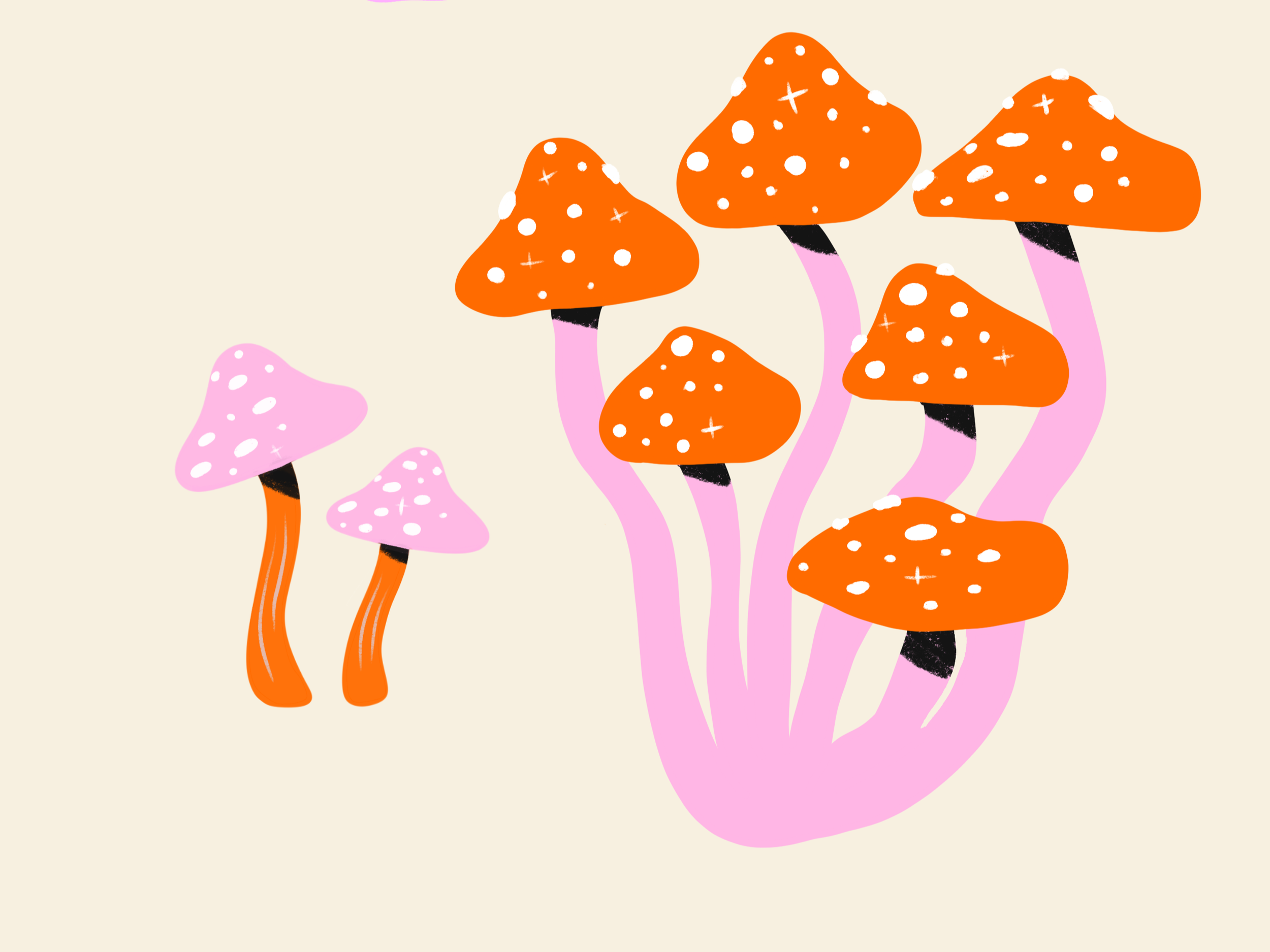 Illustrations