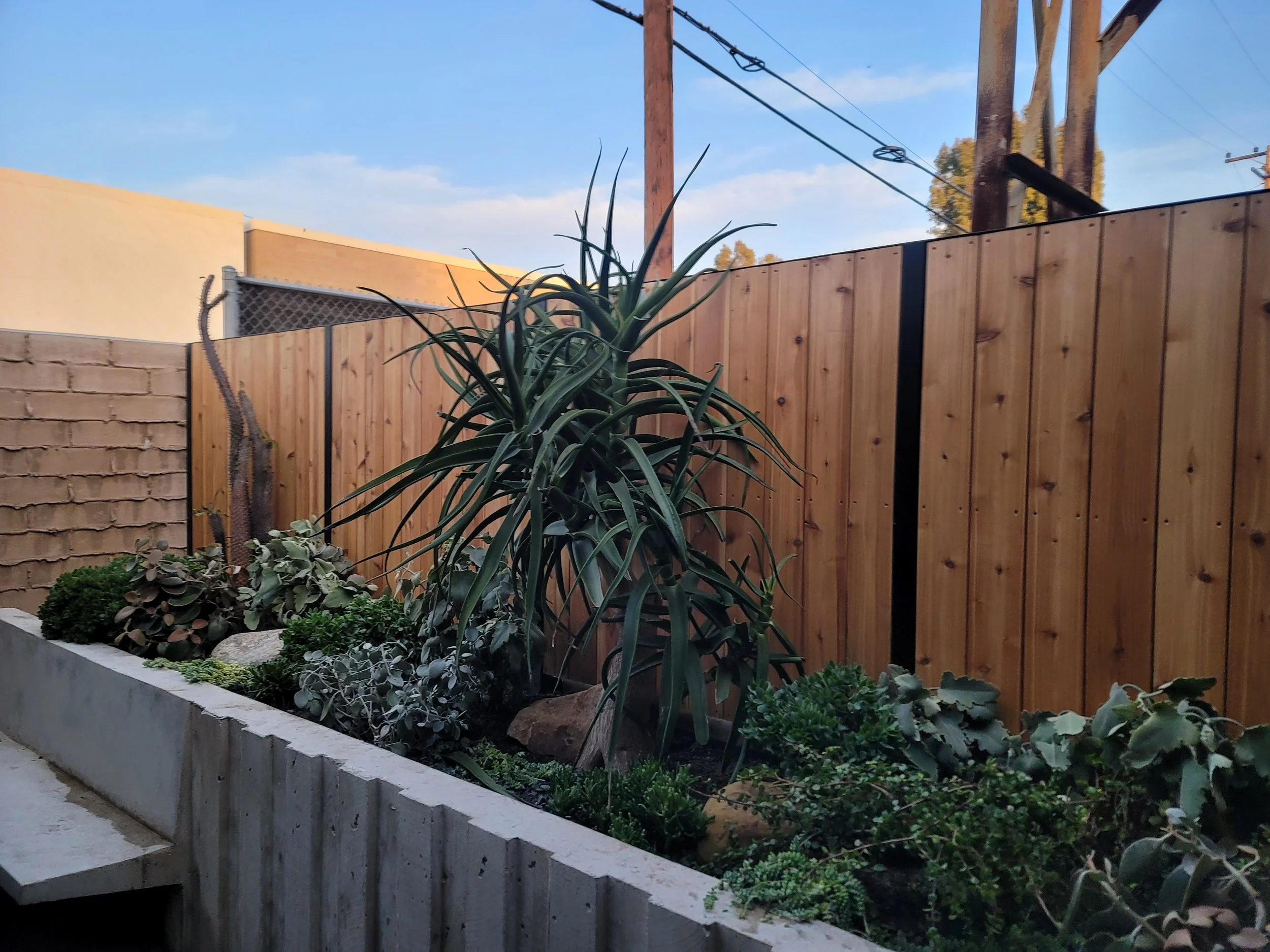Wood Fence