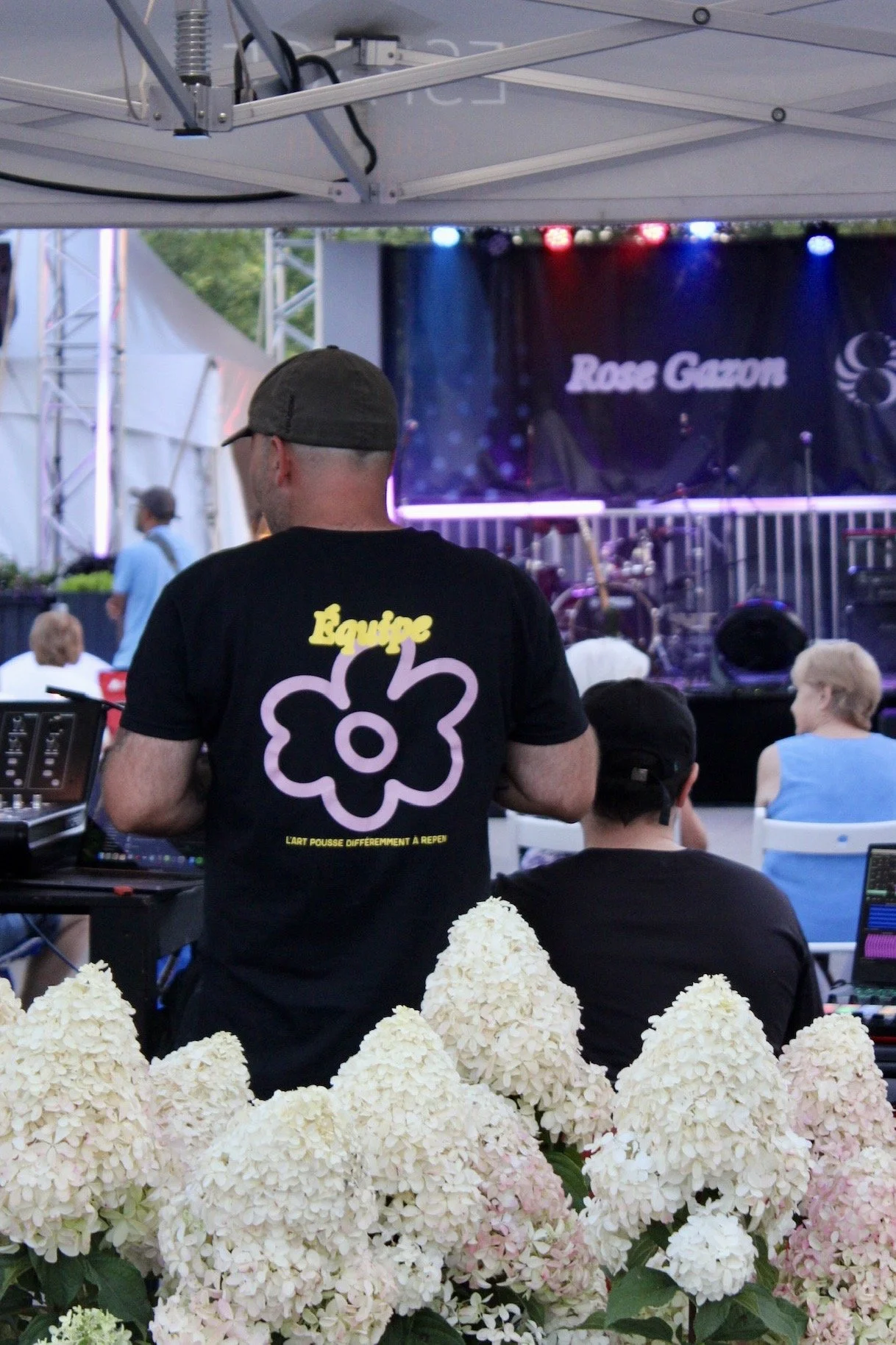 Festival Rose Gazon