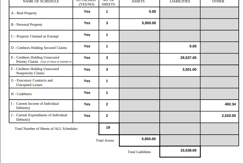 Comprehensive Investigative Report on Senate Candidate Sean Buckner