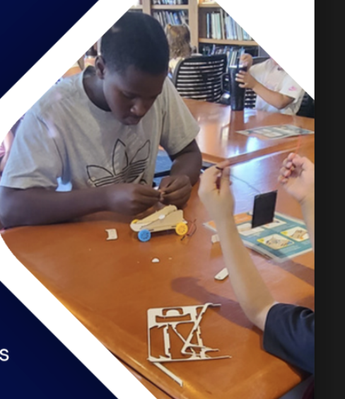 Stem & Sustainability