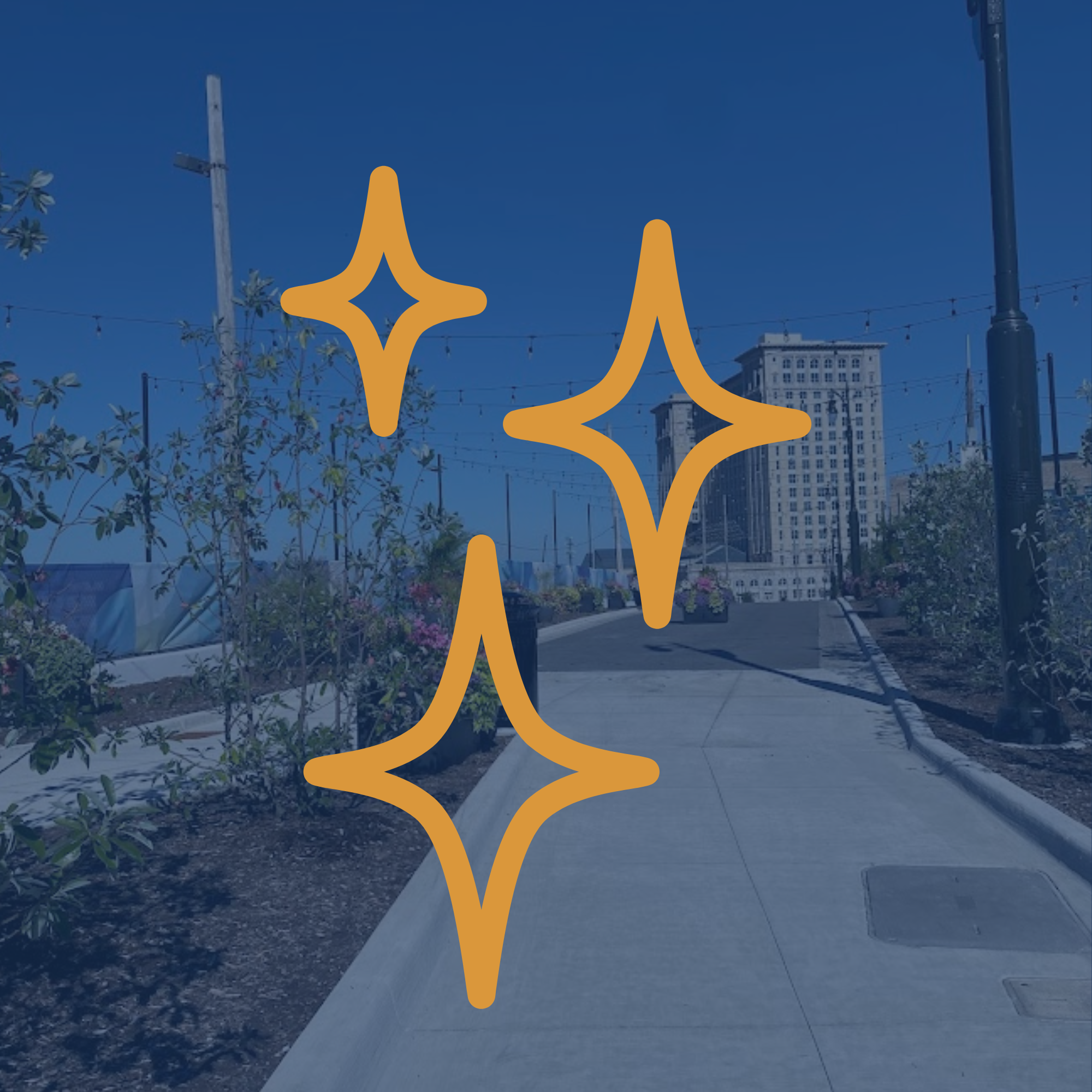 THE ACTIVATION SPARK - CONSULTATION: 60 MINUTES