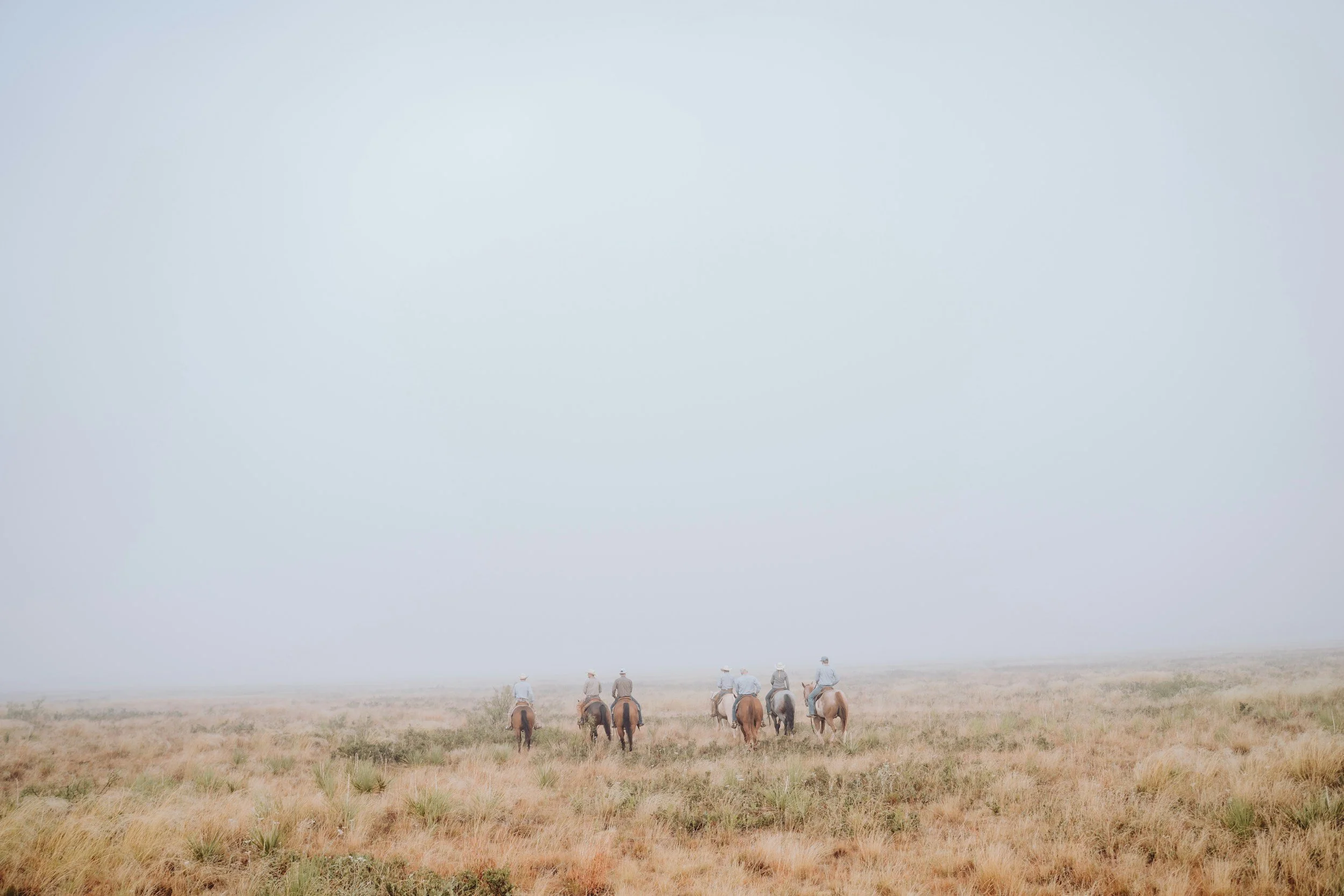 Six people riding horses through a foggy open grassland