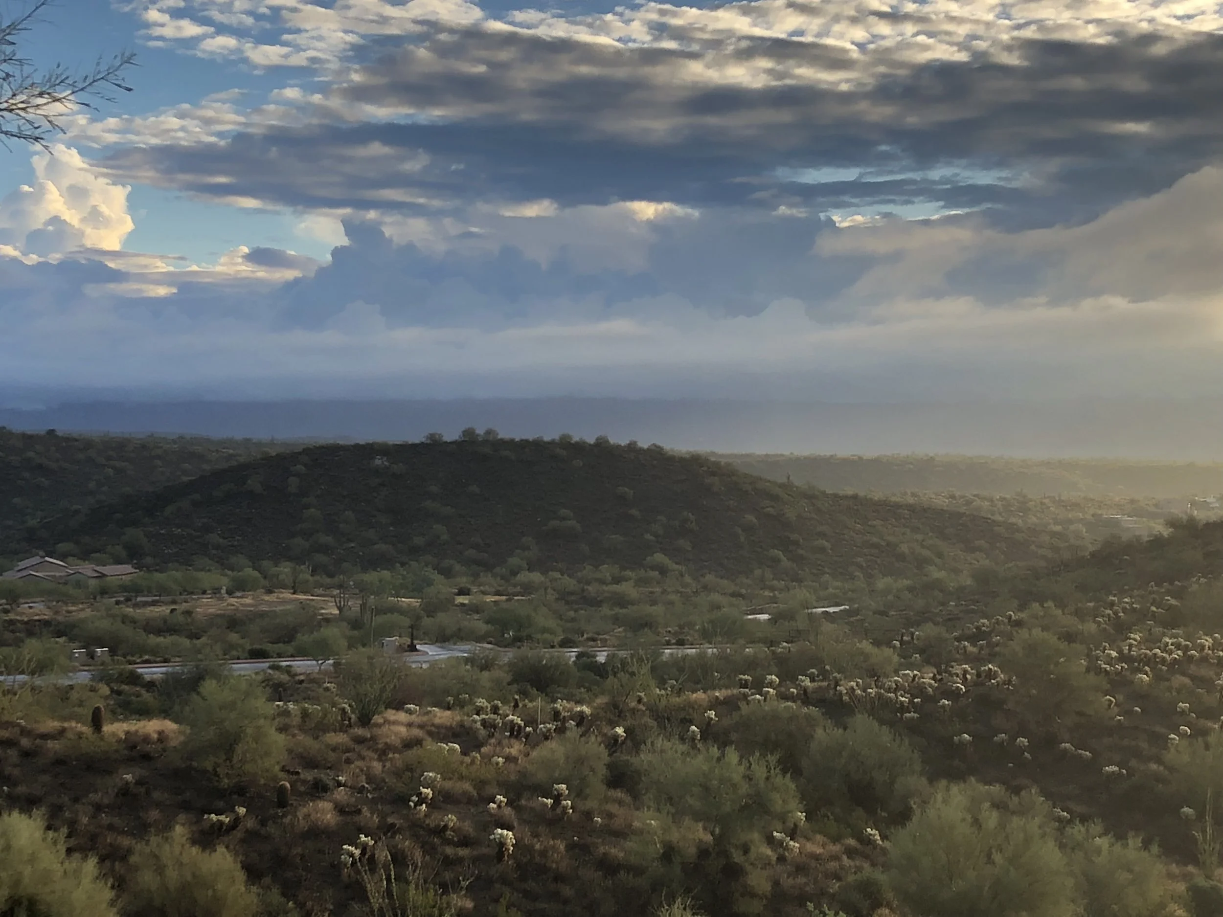 Scenic desert landscape with rolling hills, scattered shrubs and cacti, under a sky with dramatic clouds during sunset.