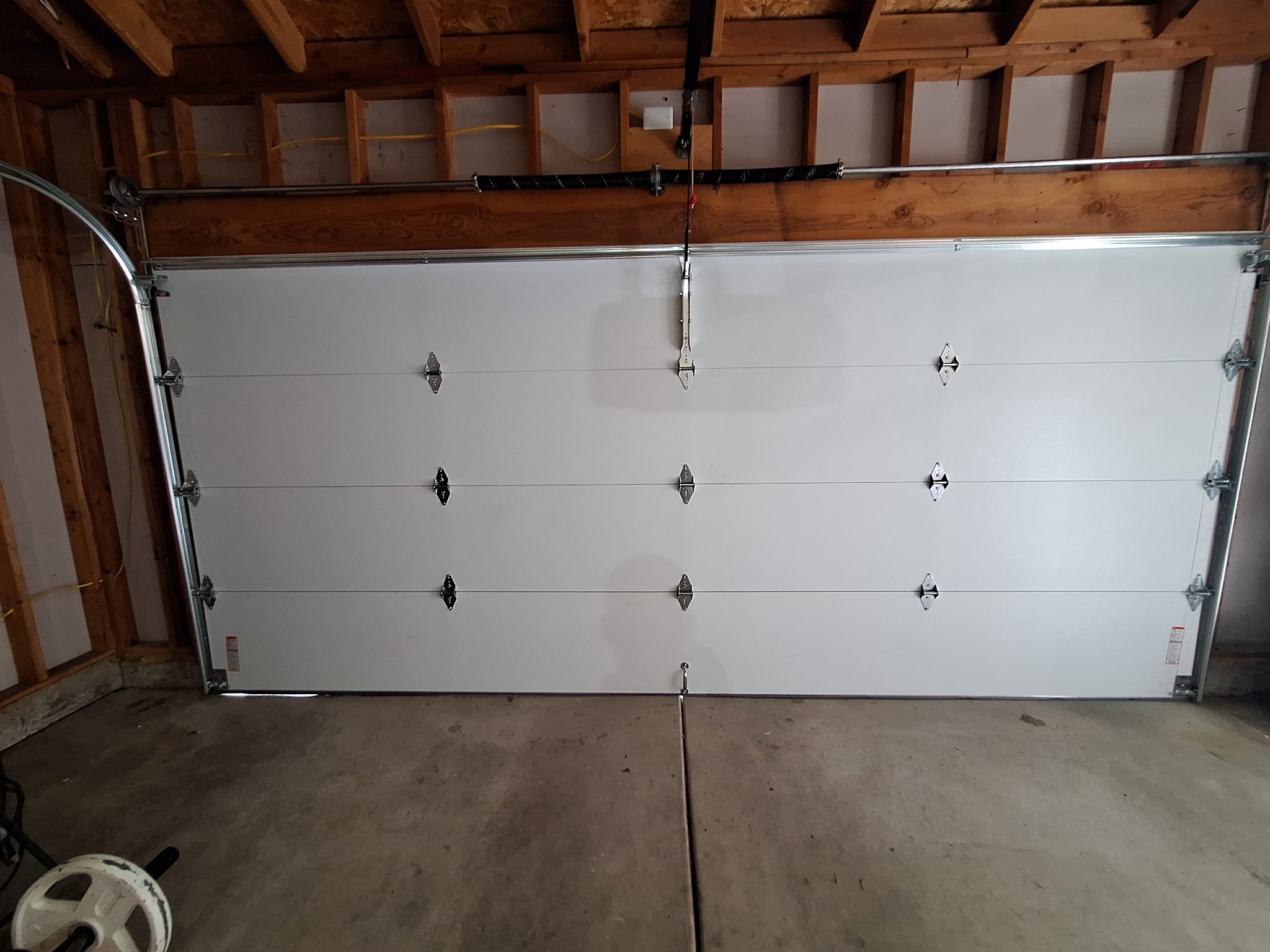 9212800267536801097 2.JPG