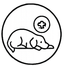Veterinary sick and urgent care for pets in Boerne, Texas at Highview Veterinary Hospital.