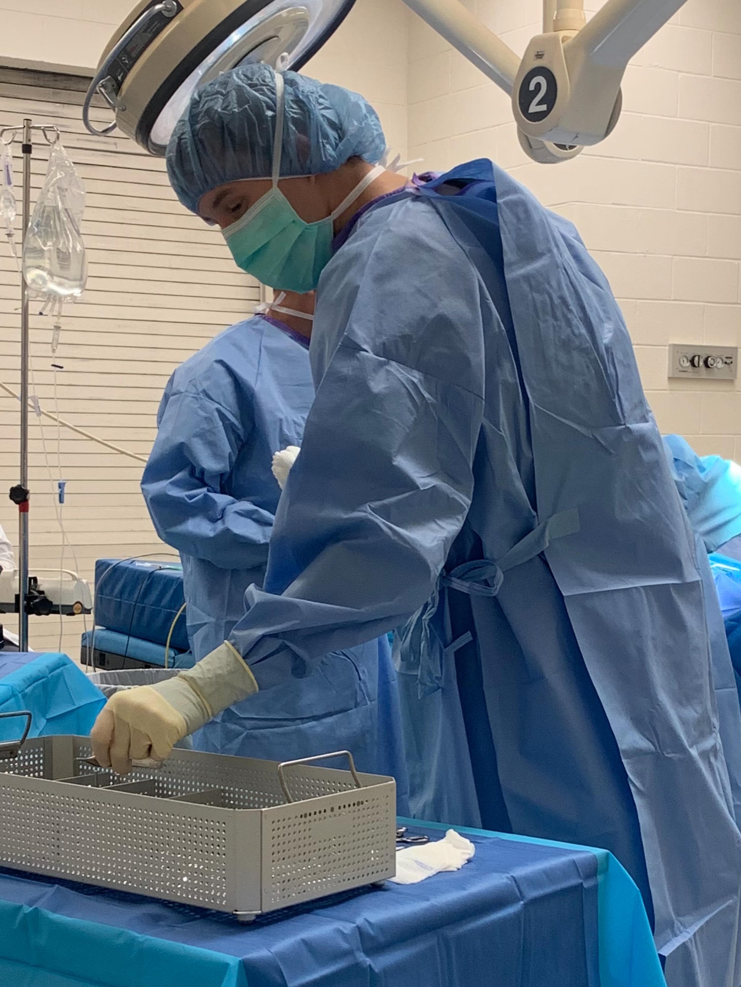 ✂️ The vets at Highview offer a variety of preventative and therapeutic surgical procedures. Our team is passionate about walking with pet parents through every step of the operation, from the preparations all the way to follow-up care. Check out our