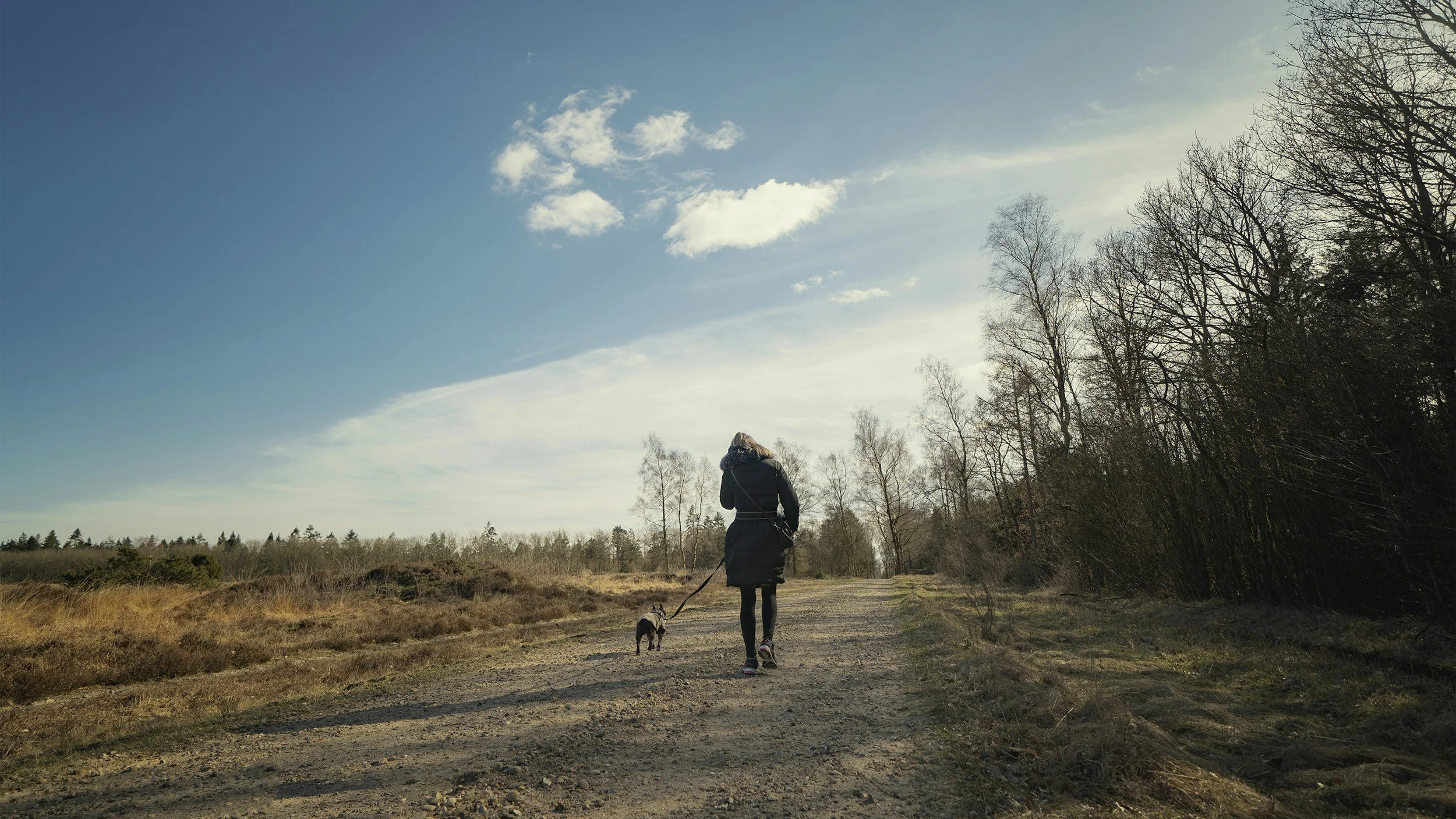 A dog walking on Leon Creek Greenway in Leon Springs thanks to the vet care provided at Highview Veterinary Hospital.