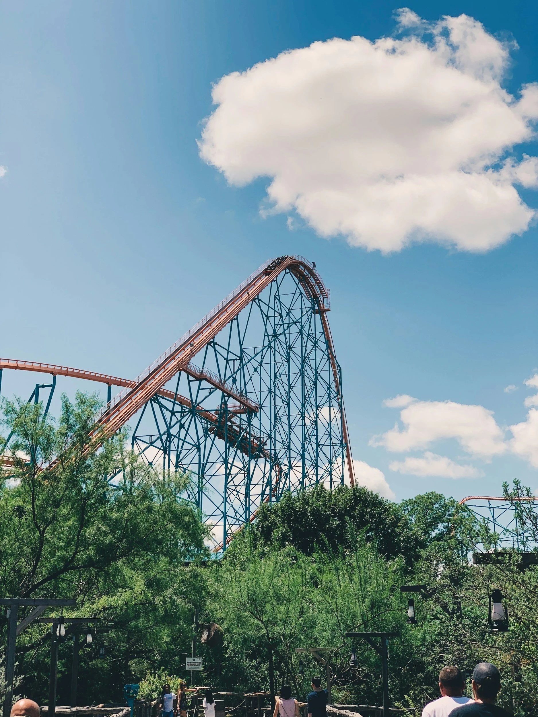 A roller coaster at Six Flags in La Cantera causing pets anxiety and needing high-quality treatment from Highview Veterinary Hospital