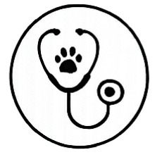 Internal Medicine Veterinary Care for pets in Boerne, Texas at Highview Veterinary Hospital.