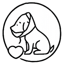 Pet Spay & Neuter Surgery in Boerne, Texas at Highview Veterinary Hospital.