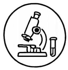 Veterinary Diagnostic Testing in Boerne, Texas at Highview Veterinary Hospital.