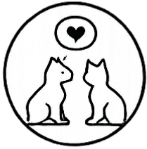 Veterinary Behavior consultation and counseling for anxiety, fear, aggression at Highview Veterinary Hospital in Boerne, Texas.