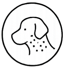 Pet skin and allergy itching treatment at Highview Veterinary Hospital in Boerne, Texas.