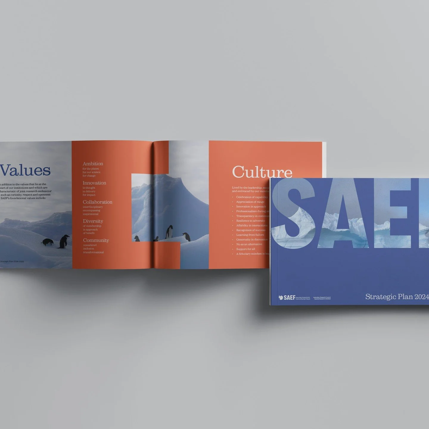 Monash Uni&rsquo;s SAEF research team have kept us busy with the design of their 4 year Strategic Plan, artwork for their office and banners for upcoming conferences. Helping them to save the planet one piece of artwork at a time.
#graphicdesign #dec